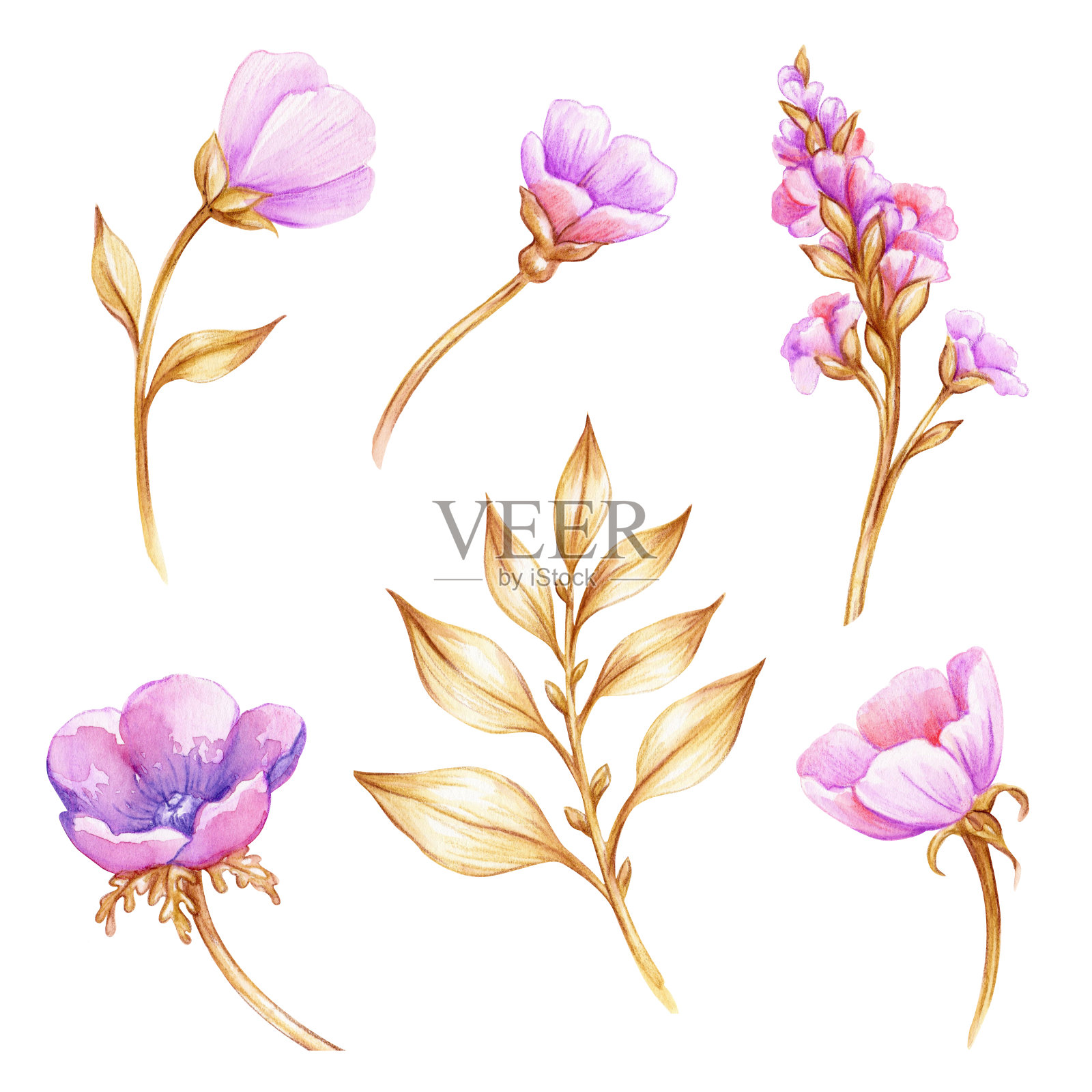 水彩花卉插图，组合多彩的花和绿叶，装饰剪辑艺术孤立在白色的背景插画图片素材