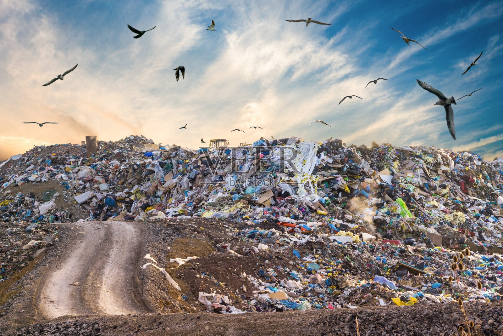 污染的概念。垃圾堆在垃圾堆或填埋场中的垃圾堆。鸟儿飞来飞去。照片摄影图片