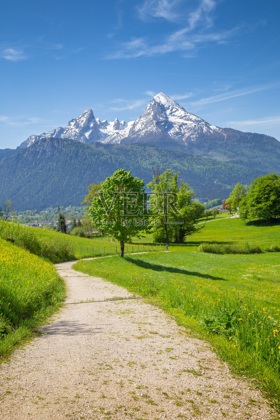夏天，阿尔卑斯山的田园风光，徒步旅行的小径和绿色的草地照片摄影图片