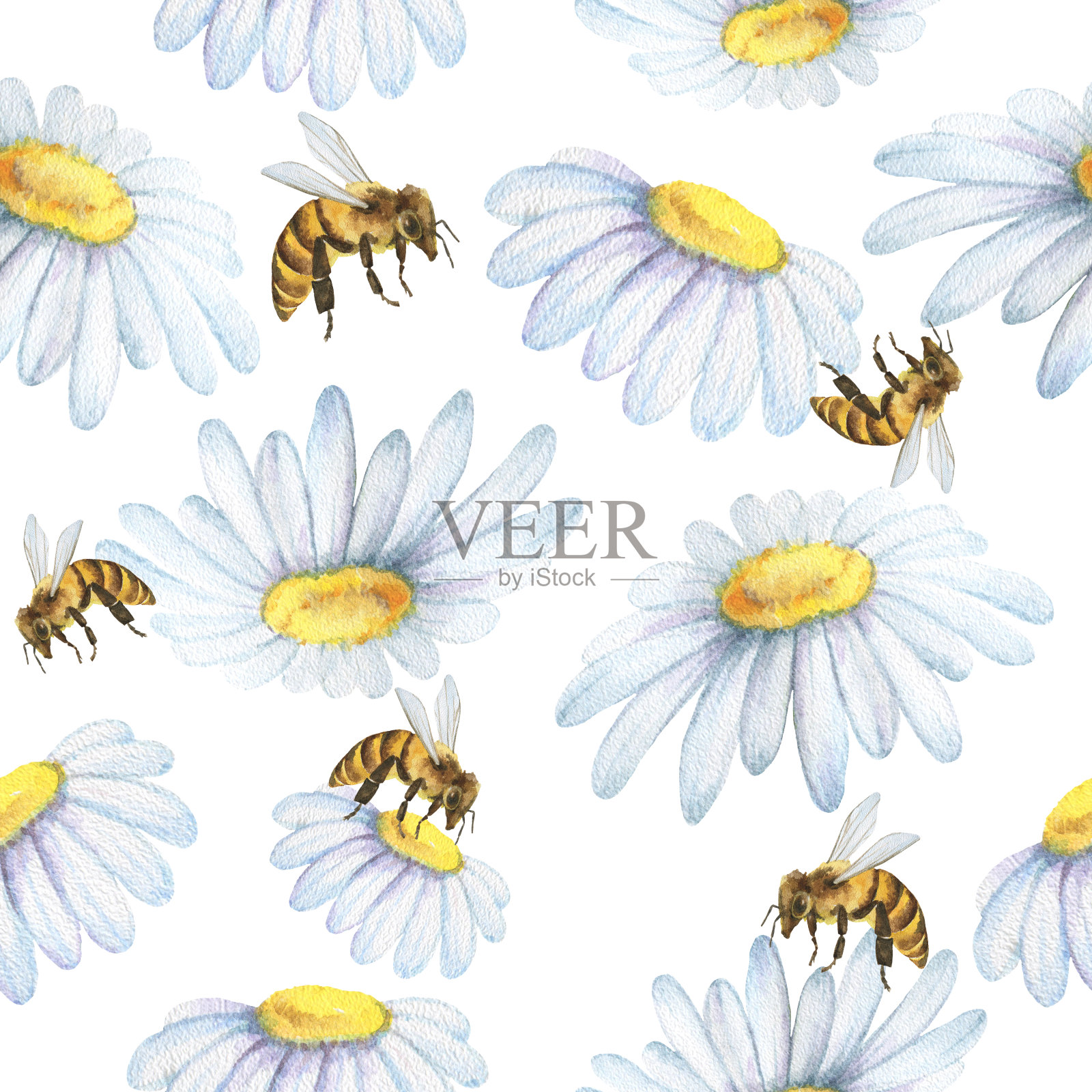 水彩无缝图案与花洋甘菊和蜜蜂。插画图片素材