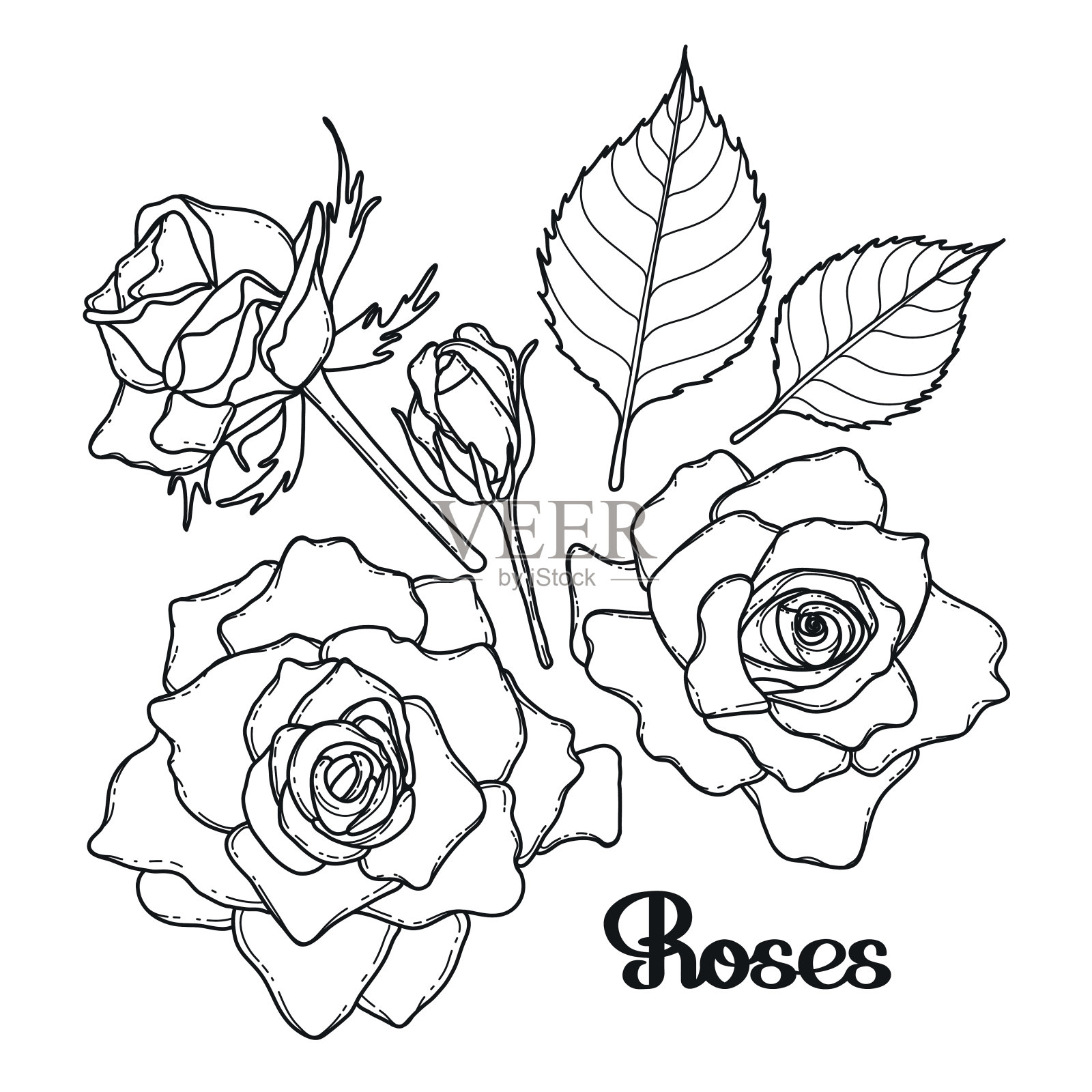 图形玫瑰集合插画图片素材