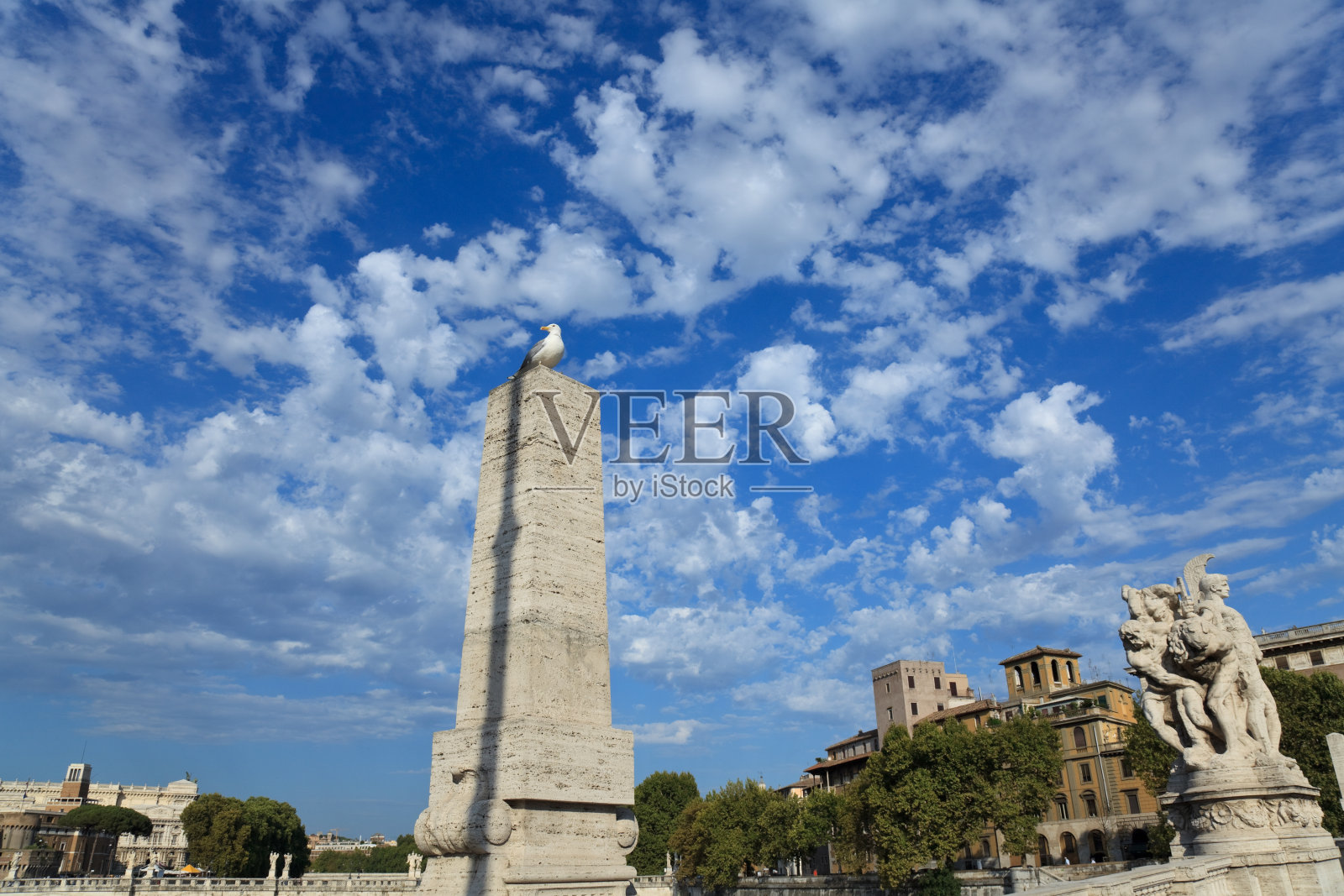 意大利罗马圆柱上的鸽子照片摄影图片