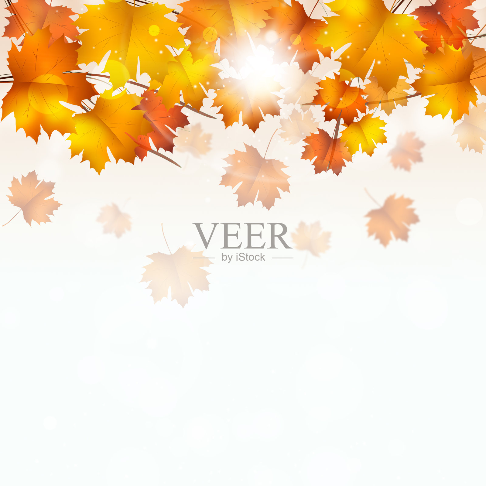 白色背景上的秋天黄叶插画图片素材