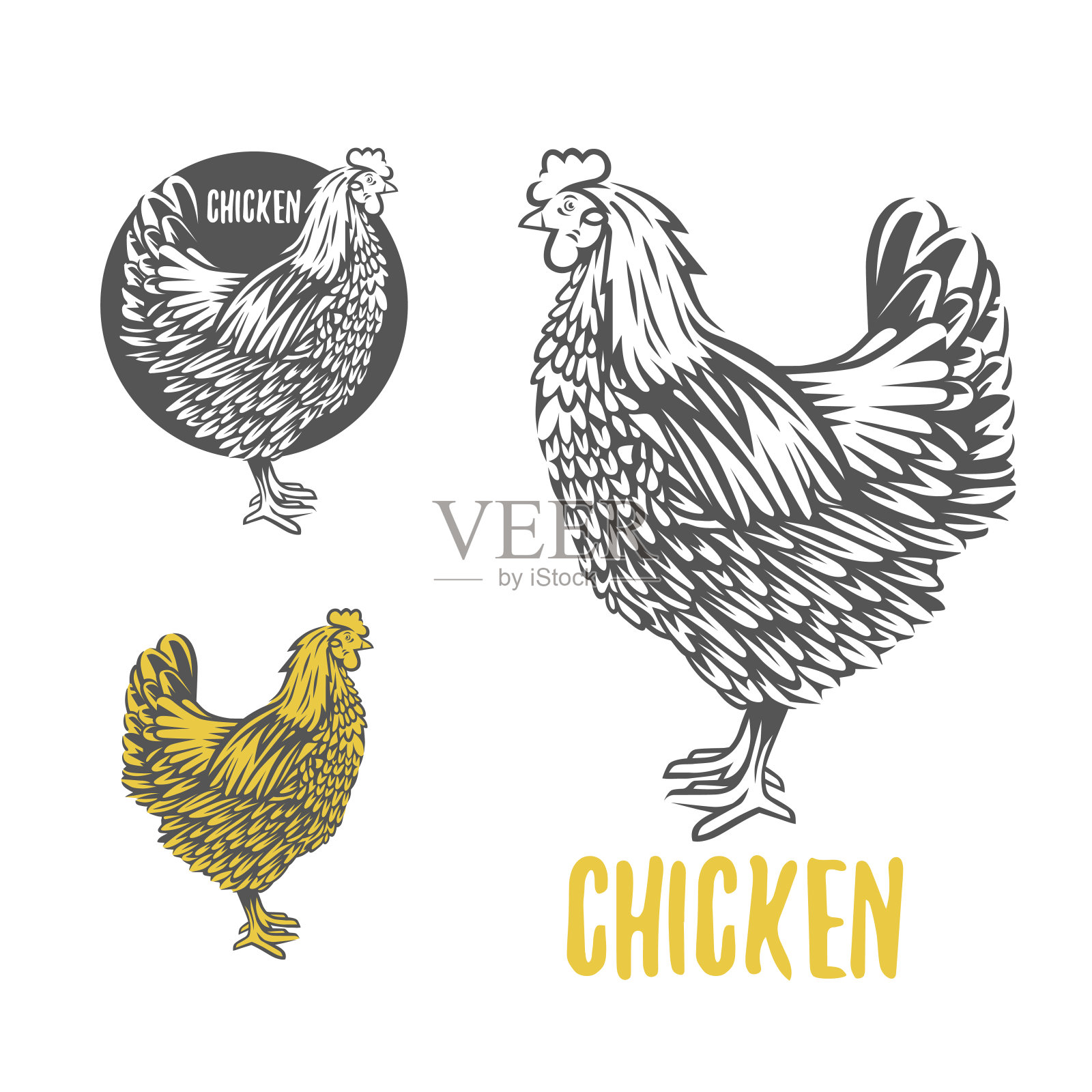 鸡。说明、设计鸡块制造要素。插画图片素材