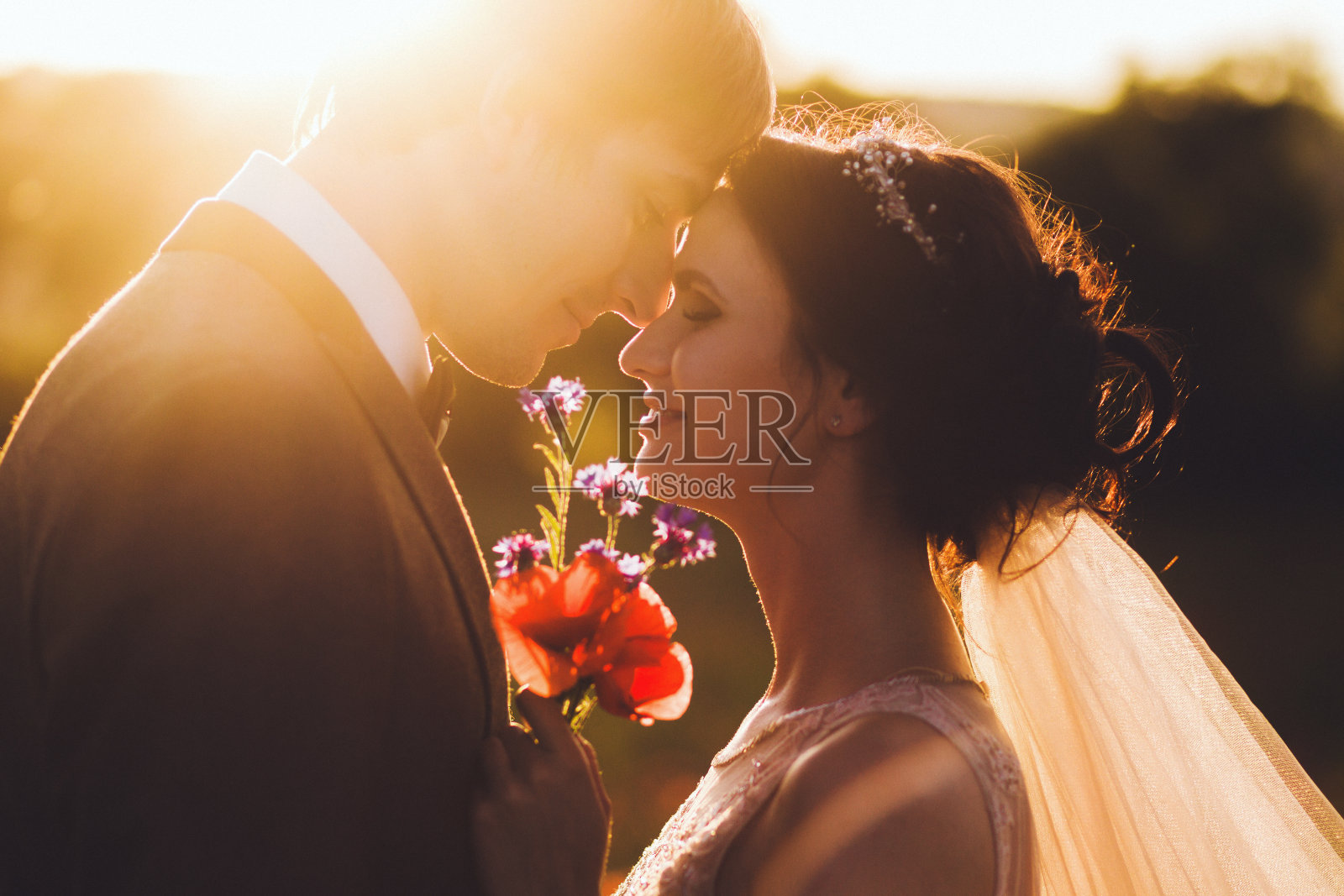 阳光肖像快乐的新娘和新郎户外在自然位置日落。温暖的夏天照片摄影图片