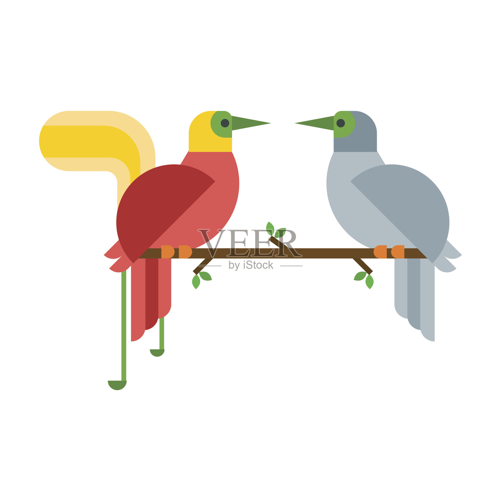 卡通热带孔雀夫妇野生动物鸟类矢量插图和野生动物可爱的羽毛动物园颜色自然生动的鲈鱼热带飞丛林漂亮的尾巴插画图片素材