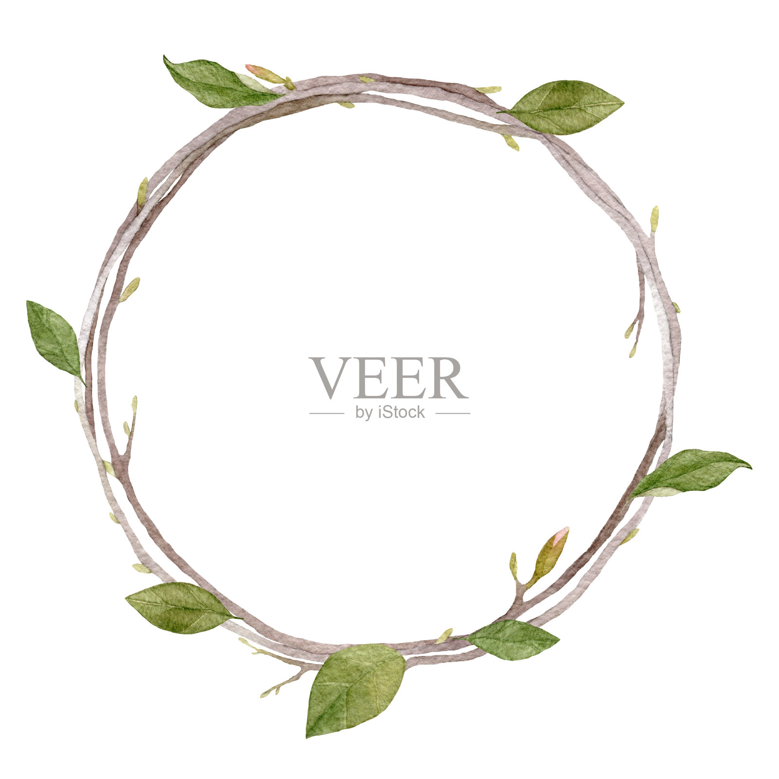 水彩花环，叶子和树枝孤立在白色的枝条上插画图片素材