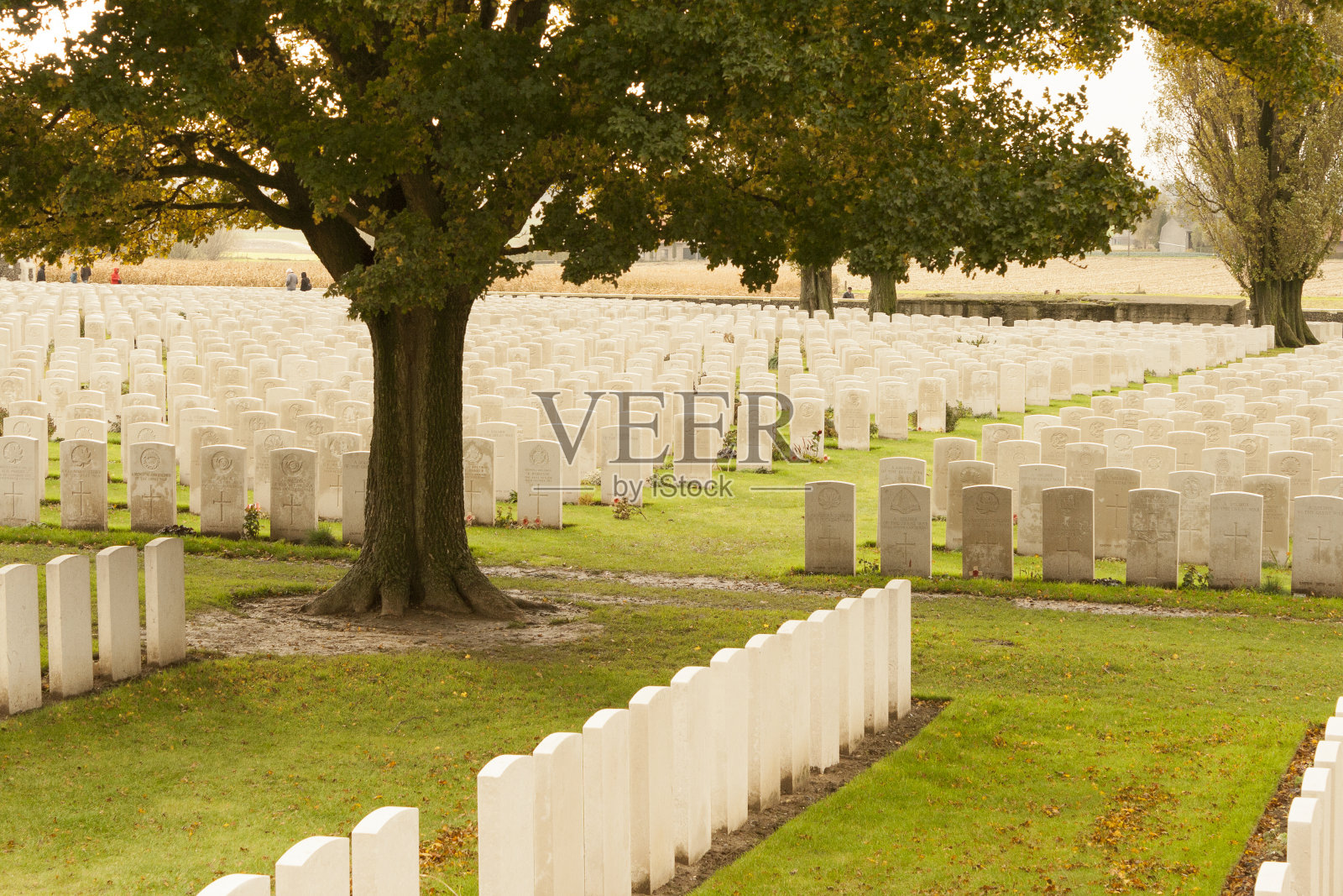 第一次世界大战墓地泰恩cot比利时佛兰德斯伊普尔照片摄影图片