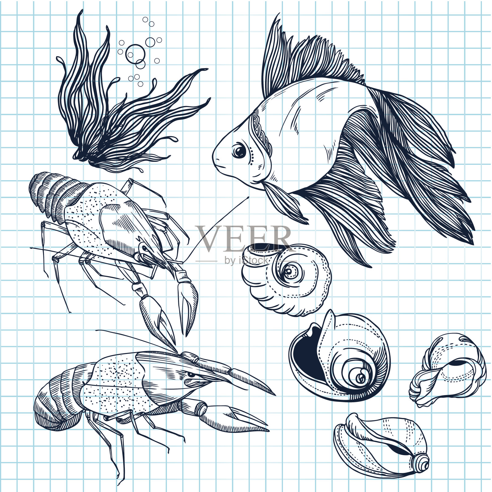 一套手绘海洋动物插画图片素材
