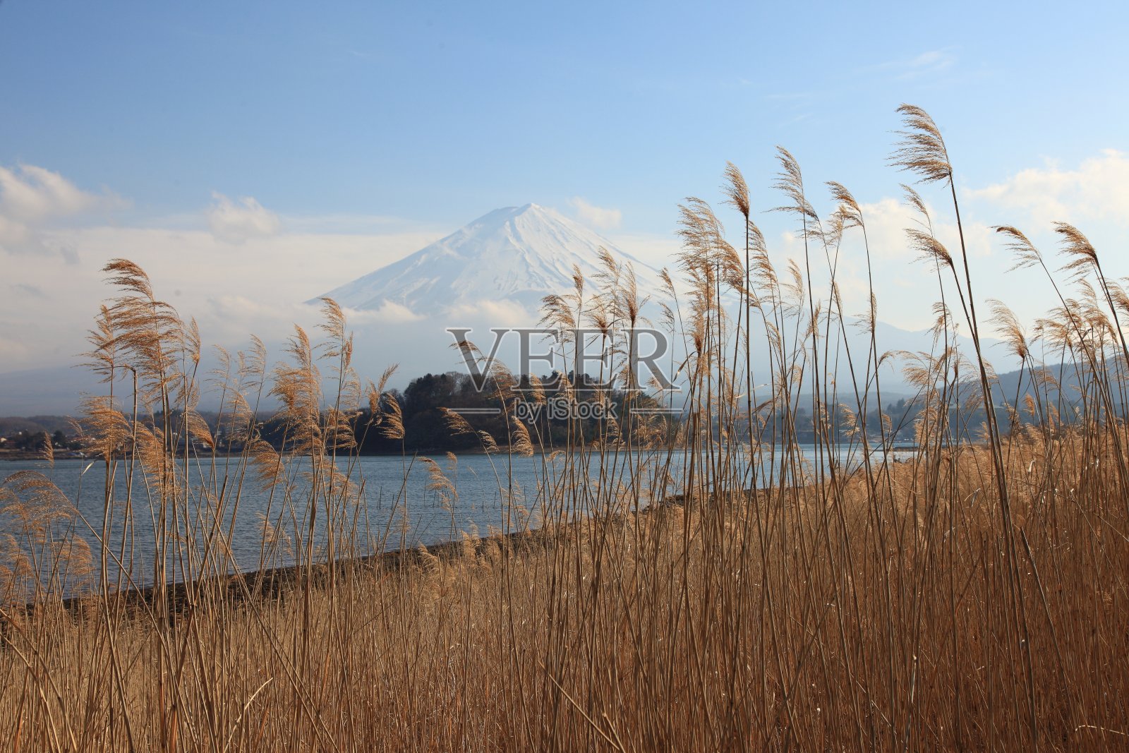 从川口湖看富士山照片摄影图片