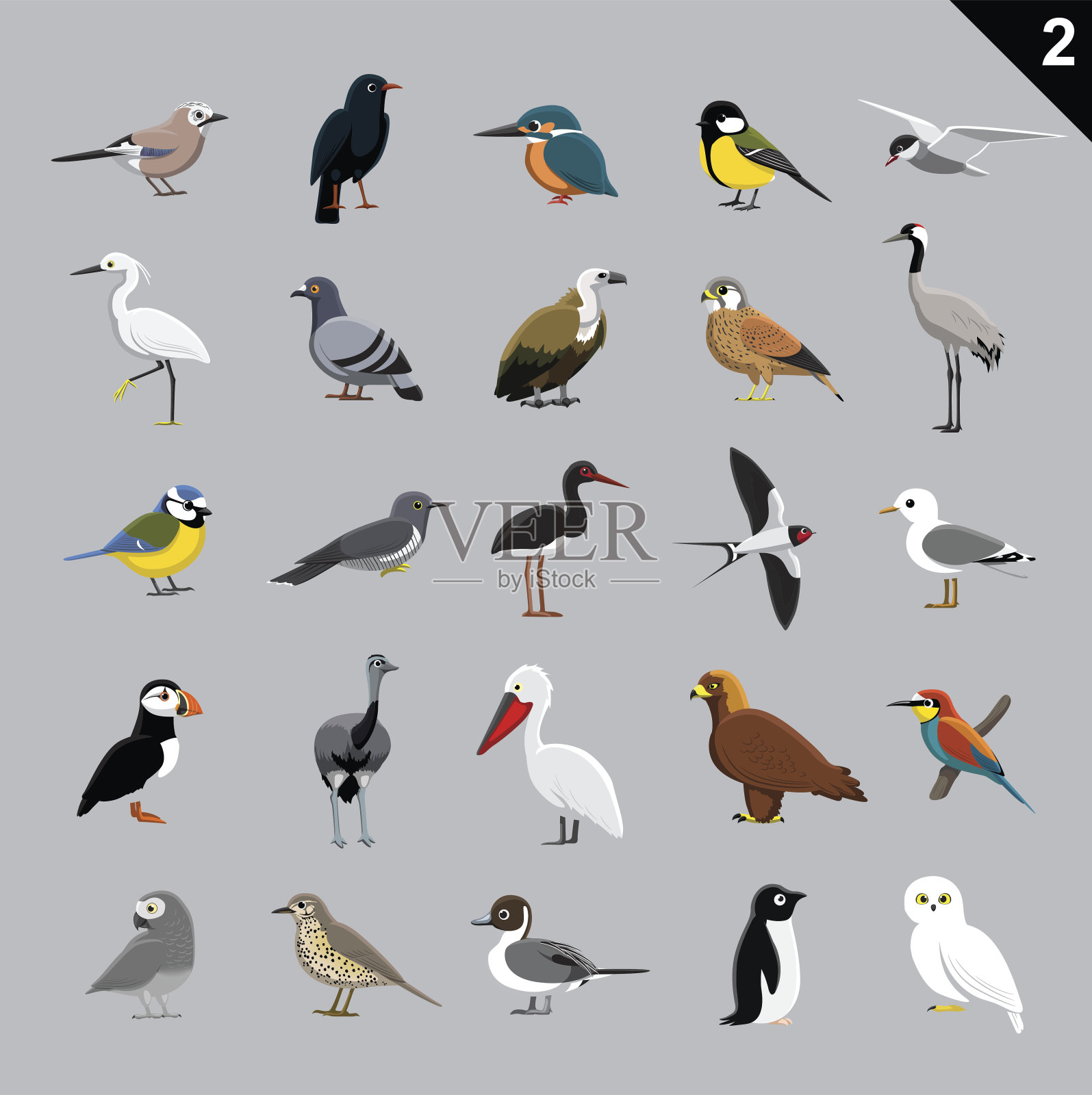 各种鸟类卡通矢量插图2设计元素图片