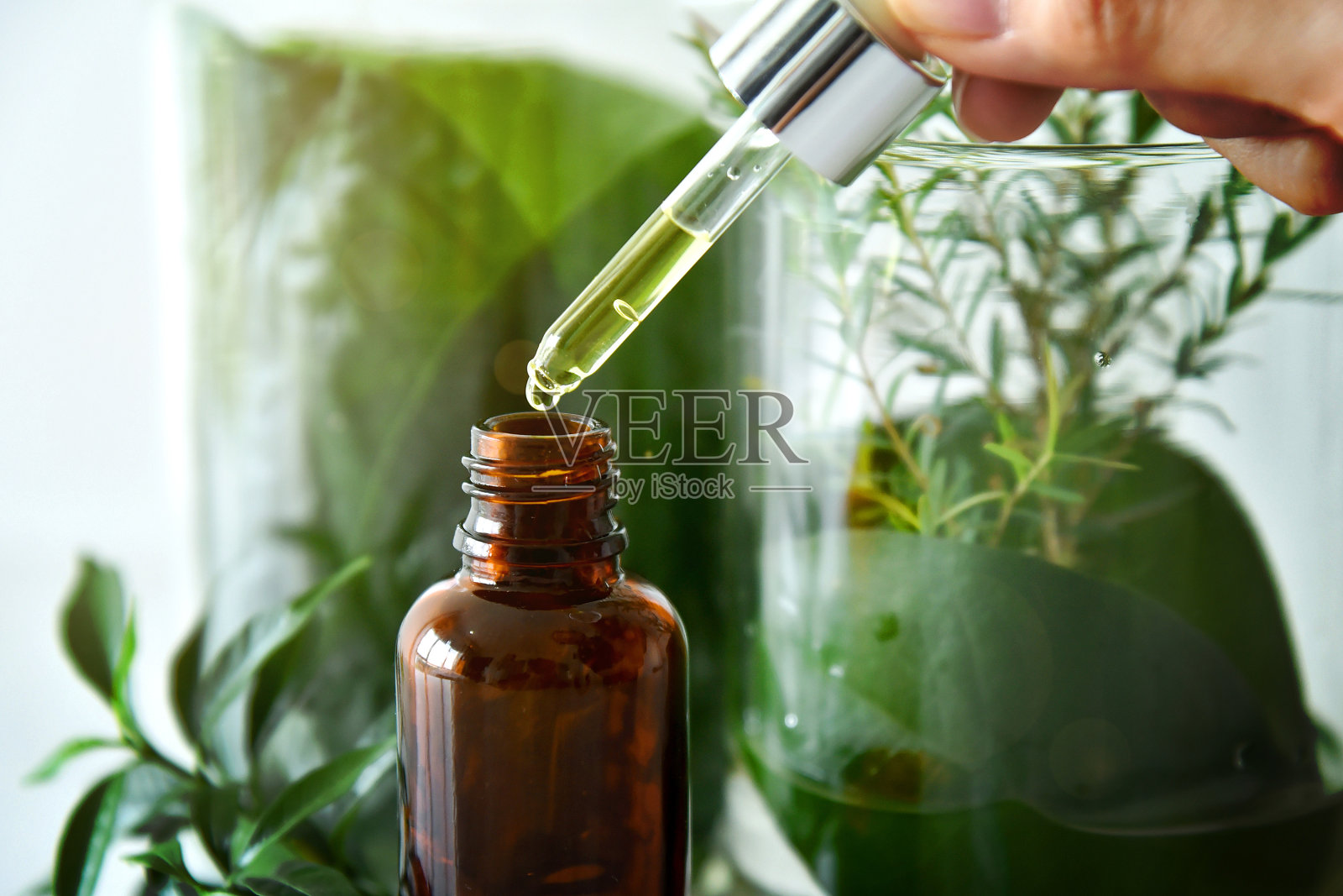 从事天然药物研究，天然有机植物和科学玻璃器皿，替代绿色中草药，天然护肤美容产品的科学家照片摄影图片