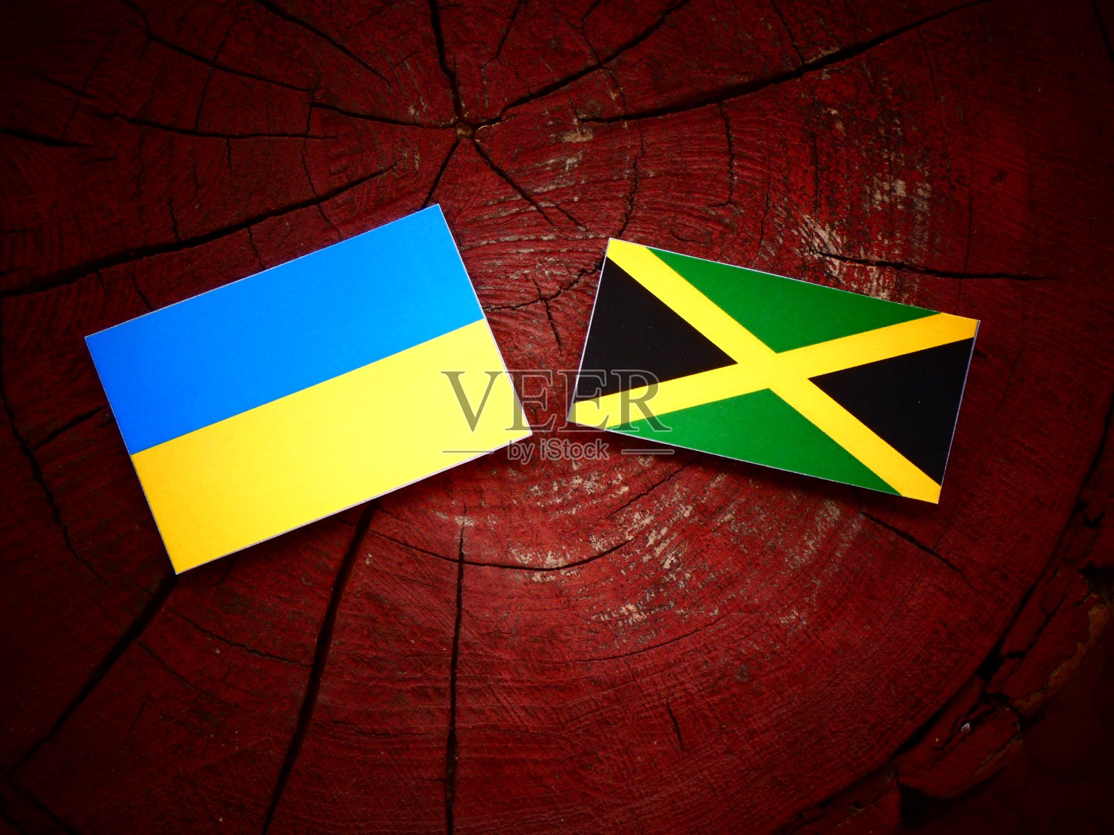 孤立的树桩上悬挂着乌克兰国旗和牙买加国旗照片摄影图片