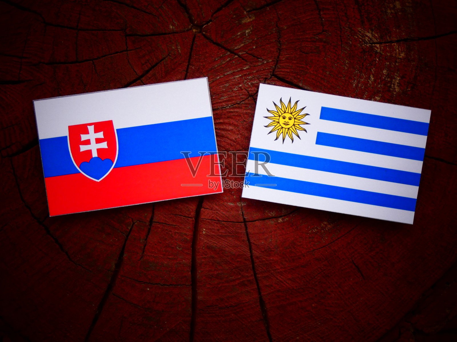 斯洛伐克国旗和乌拉圭国旗在一个树桩孤立照片摄影图片
