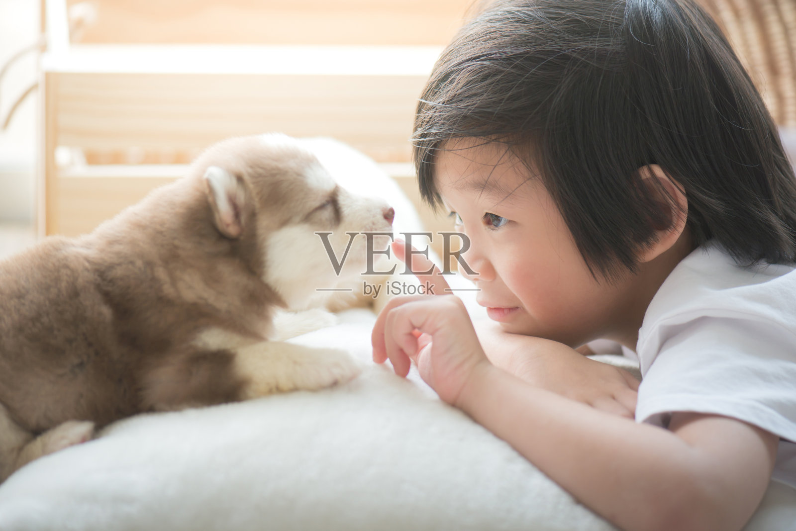 亚洲儿童与西伯利亚哈士奇狗玩耍照片摄影图片