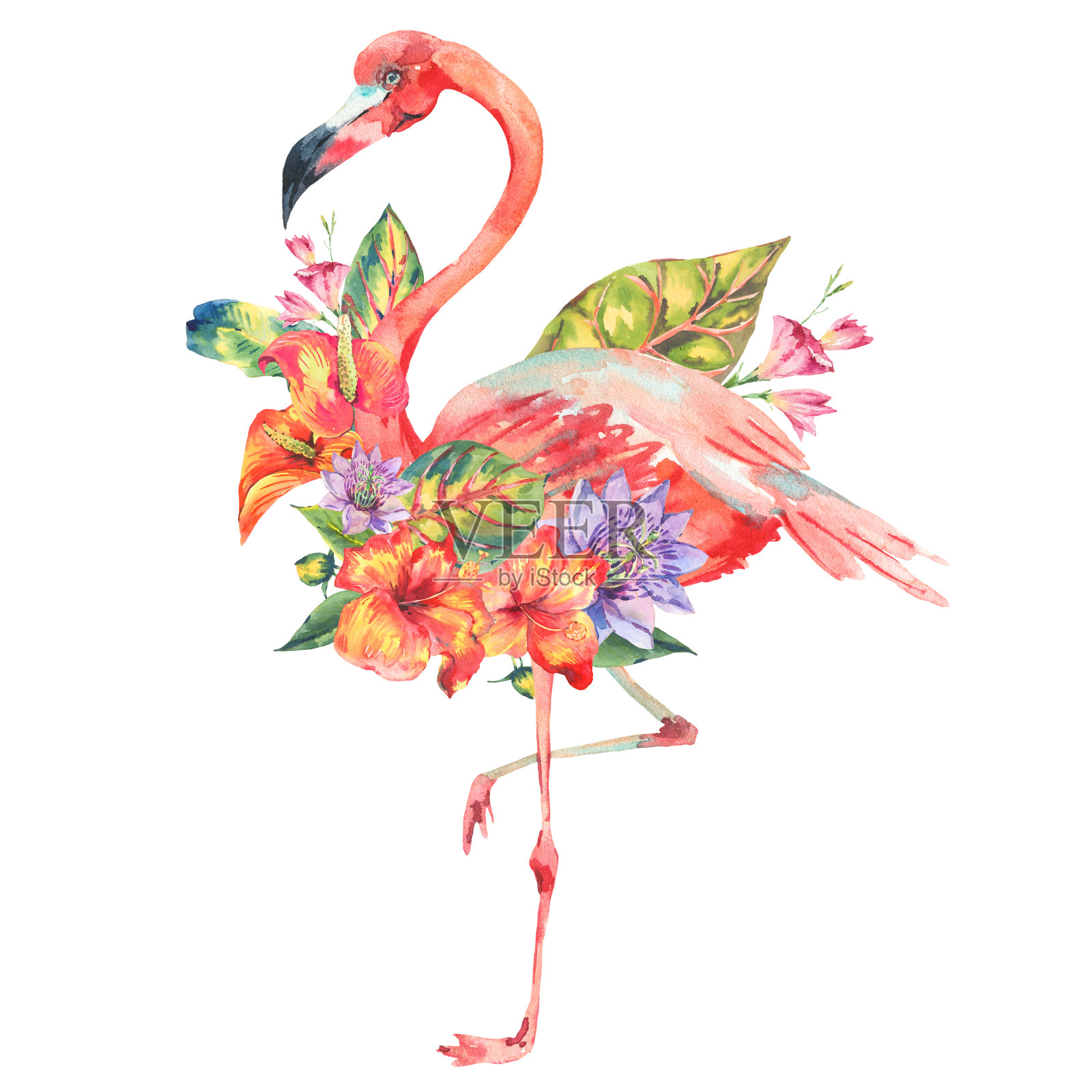 水彩粉红色火烈鸟和热带花朵插画图片素材