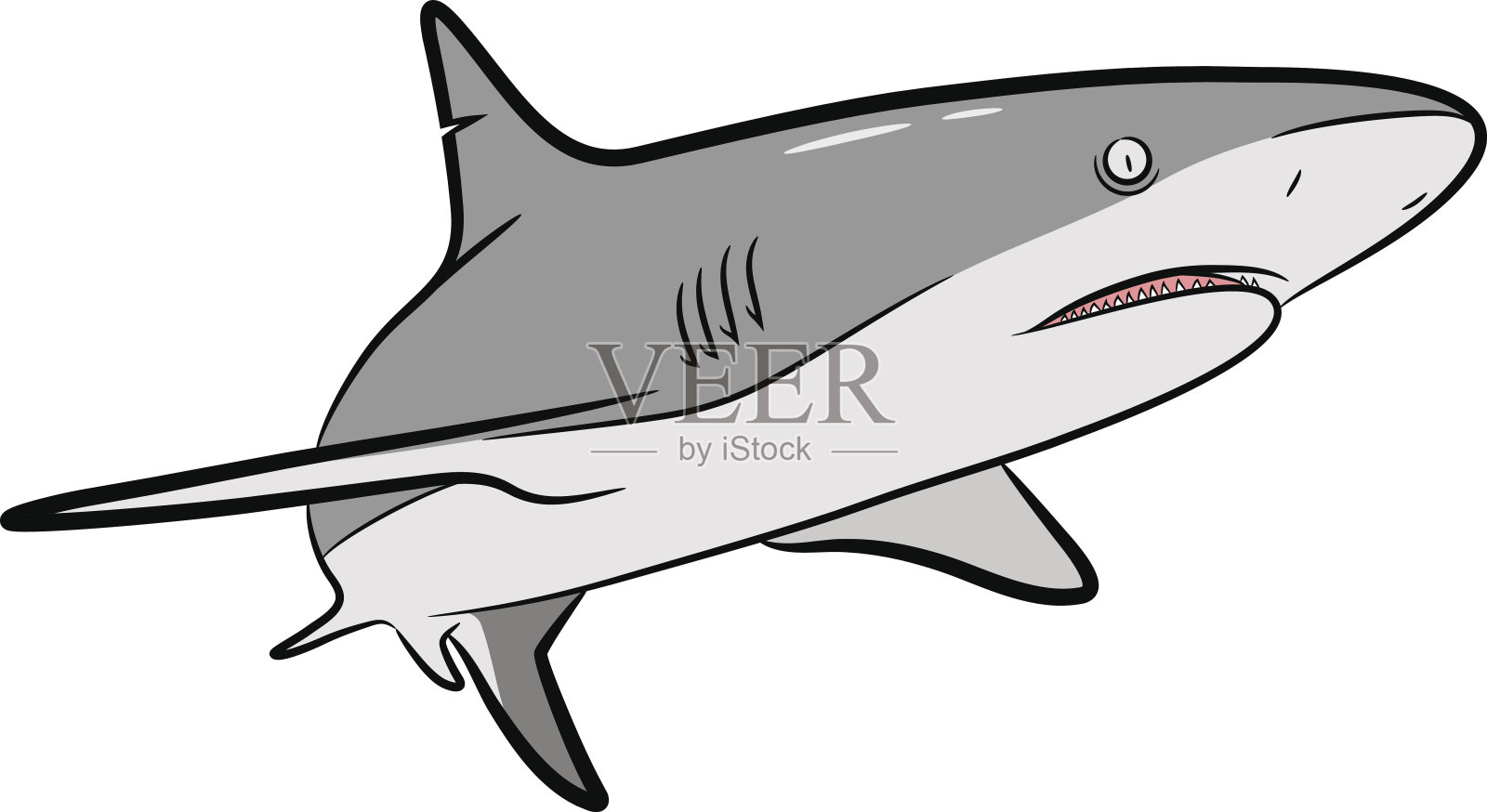 鲨鱼向量卡通插画图片素材