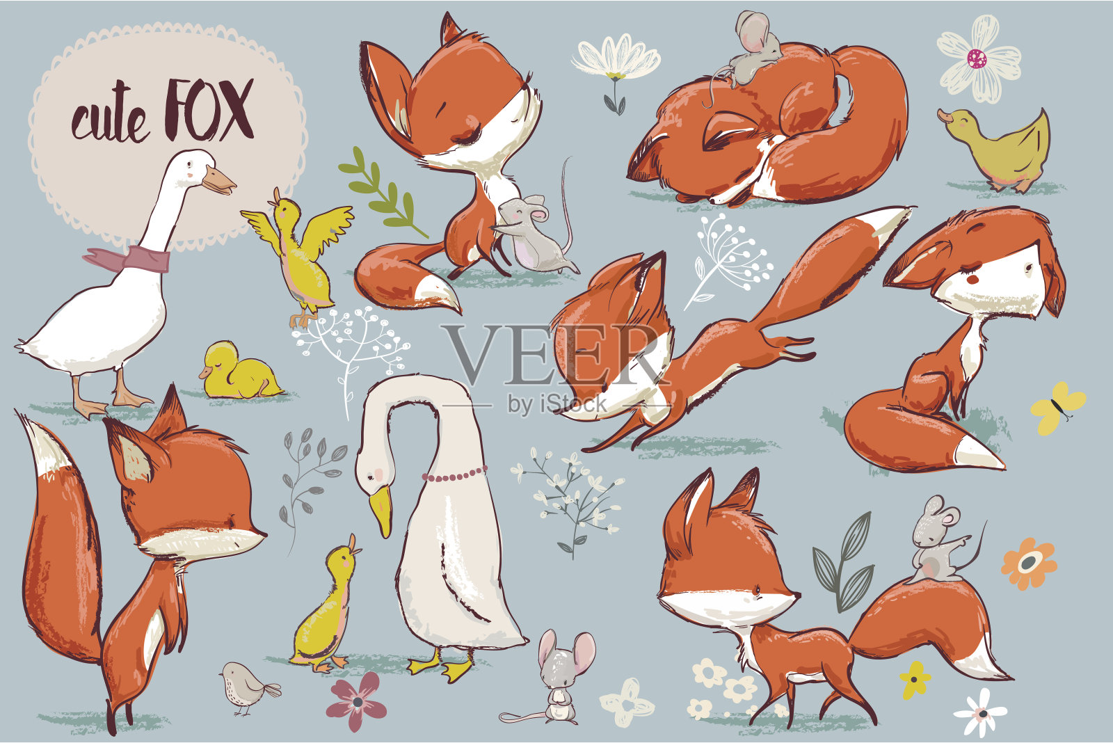 集可爱的狐狸和农场的鸟插画图片素材