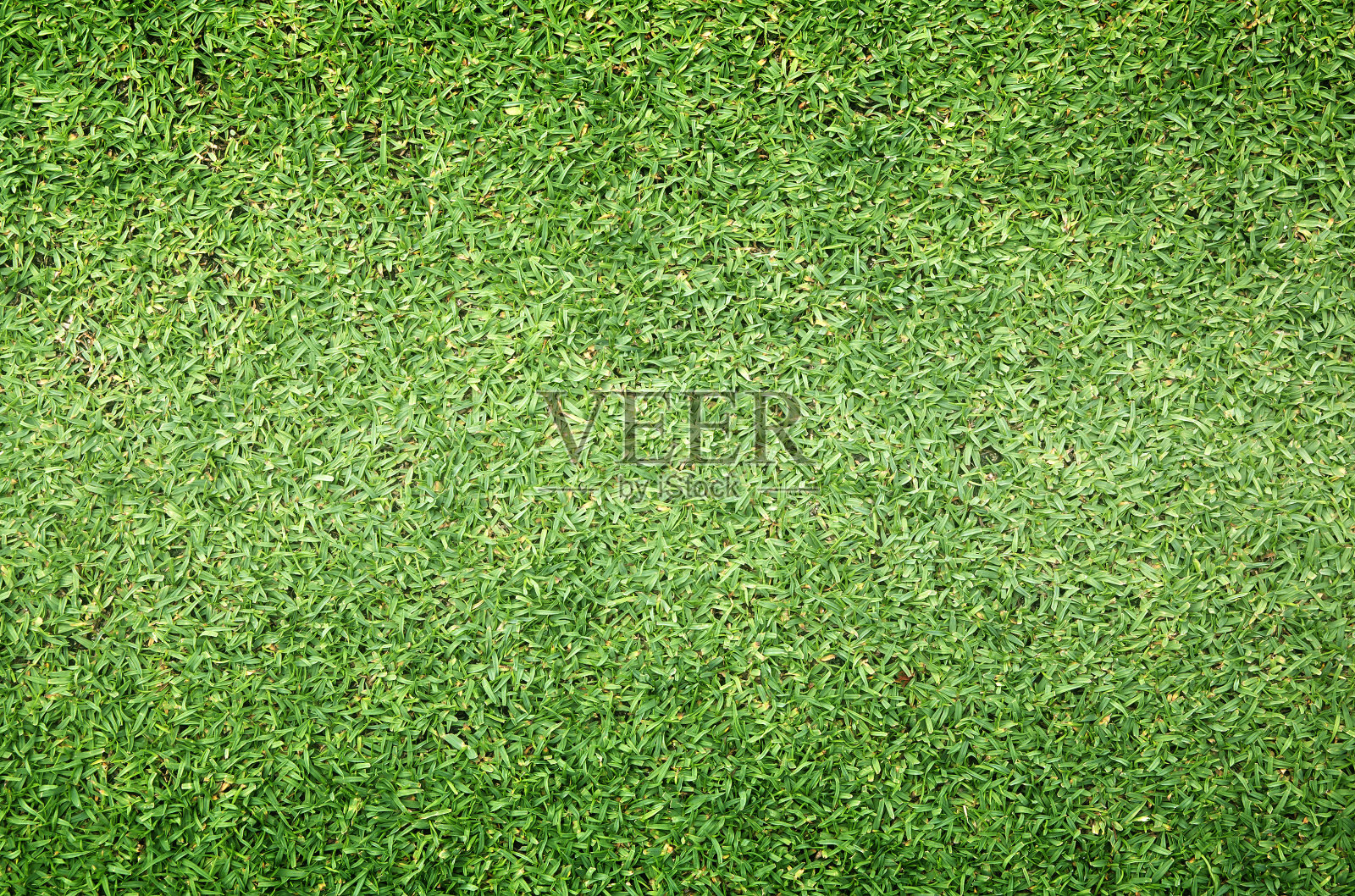 草地背景高尔夫球场绿色草坪插画图片素材