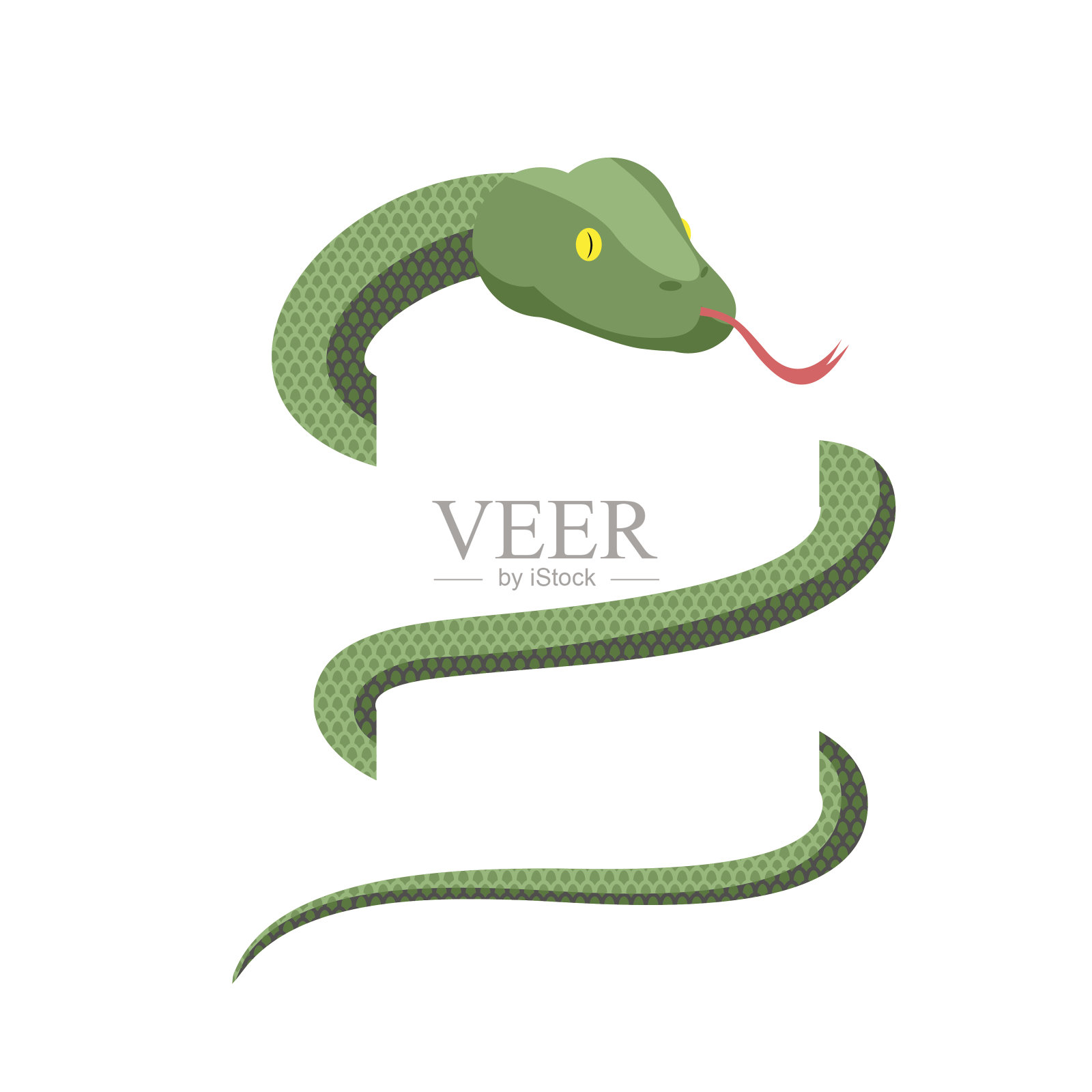 蛇包装孤立。白色背景上的眼镜蛇。绿色的爬行动物设计元素图片