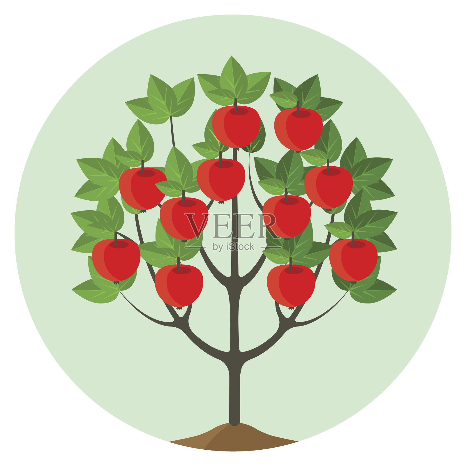 苹果树与成熟的果实矢量插图在圆形按钮。插画图片素材