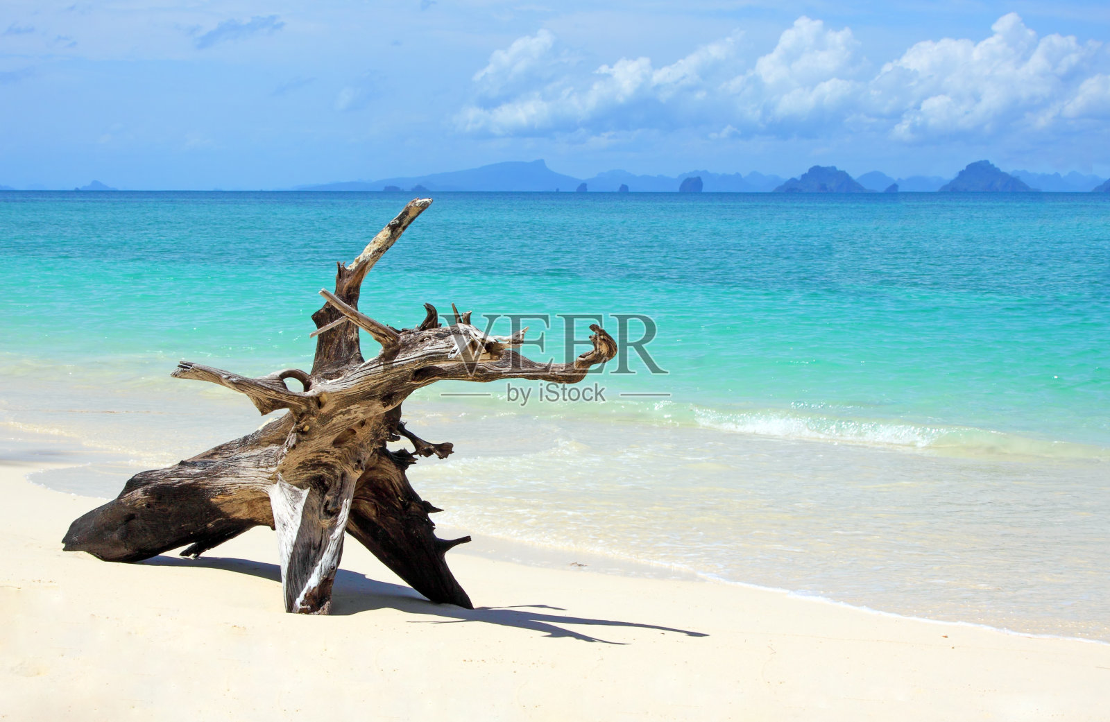 热带海滩:沙滩上留下了树干。照片摄影图片
