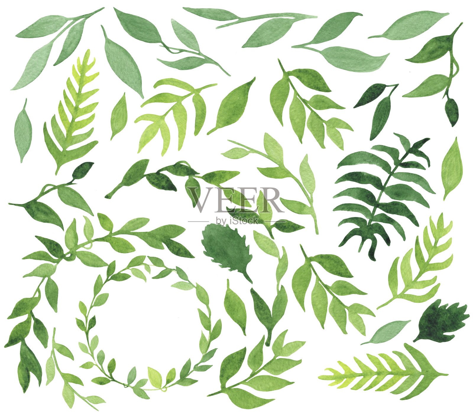 一套手绘水彩绿色树叶插画图片素材