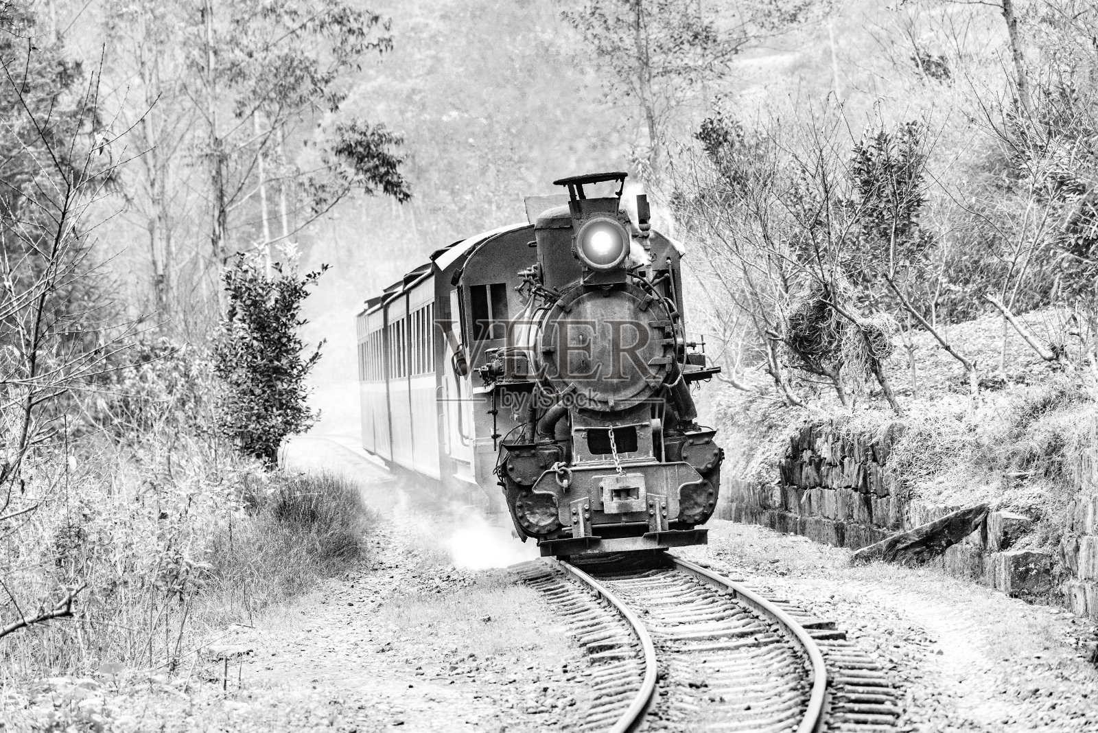 蒸汽窄轨的火车。照片摄影图片