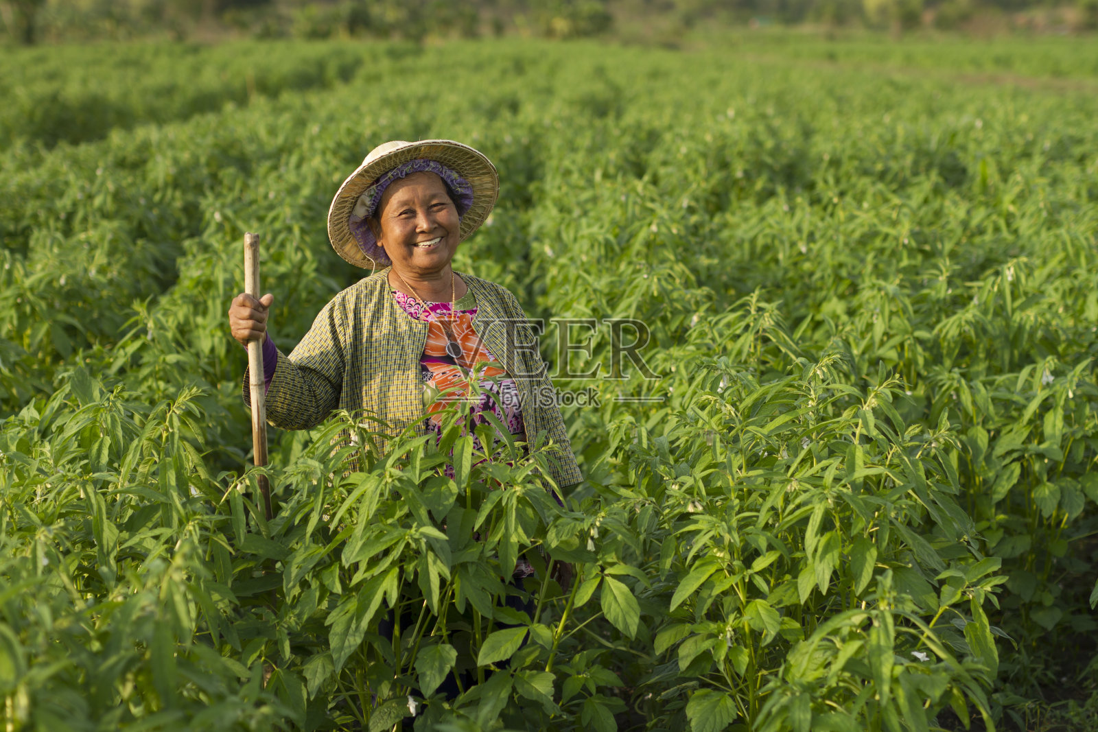 快乐的农妇微笑着照片摄影图片