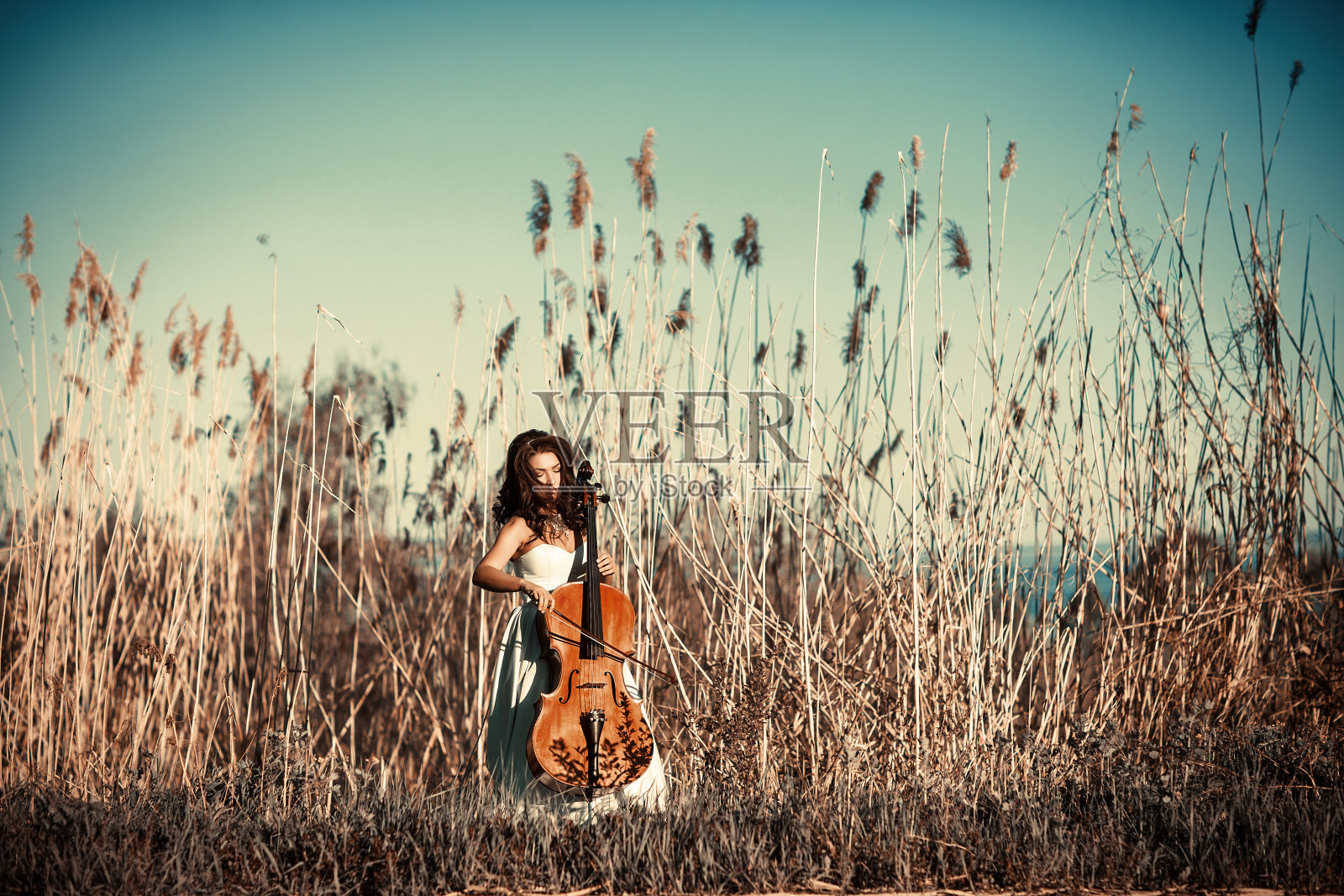 高高的草丛中拿着大提琴的女孩照片摄影图片