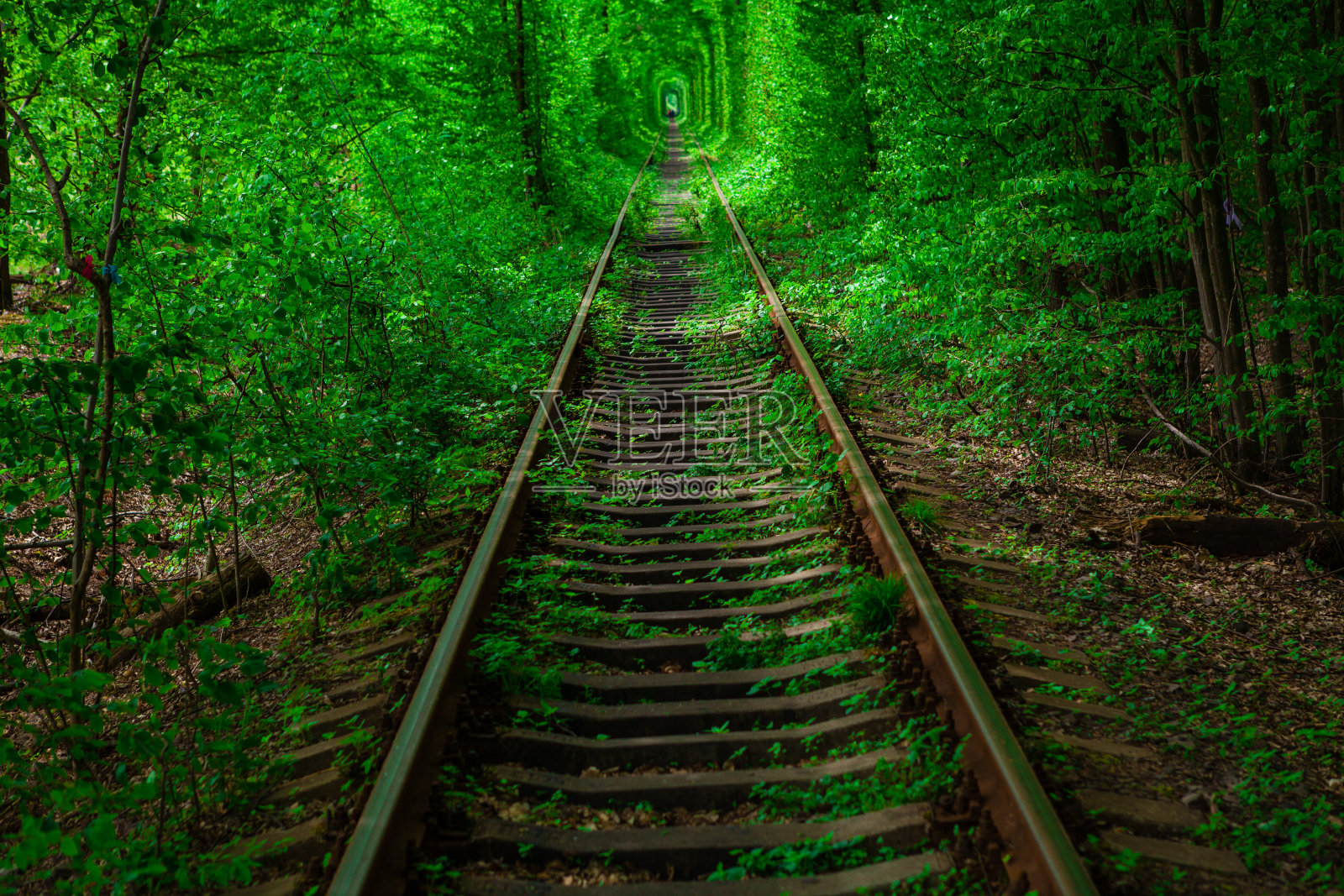 一条铁路在春天的森林里穿越爱情的隧道照片摄影图片