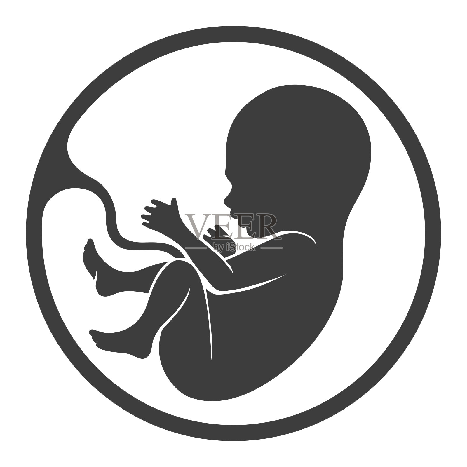 胎儿胎盘轮廓插画图片素材