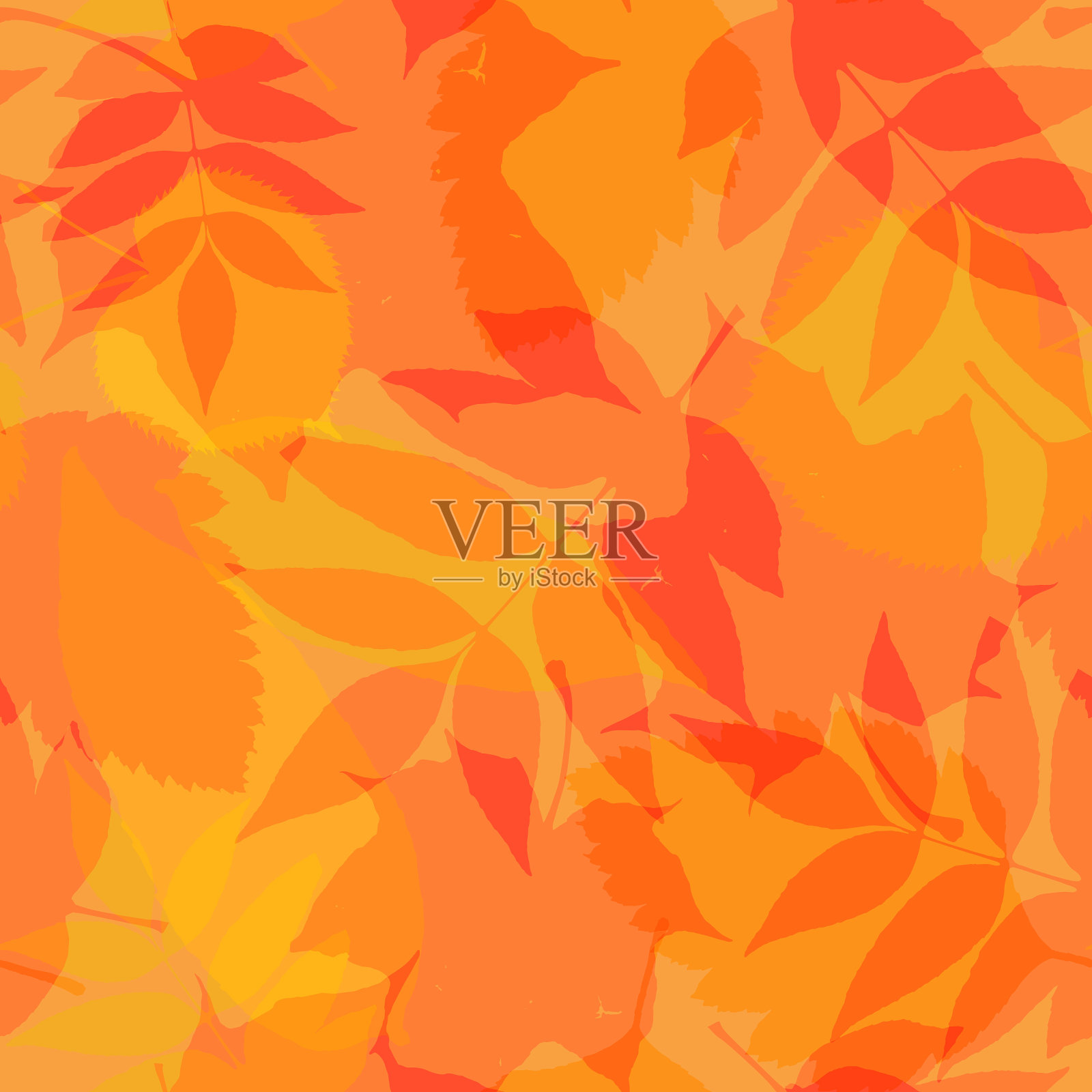 无缝的秋季图案与多彩的树叶。枫，酸橙，桤木，白蜡树的叶子剪影。插画图片素材