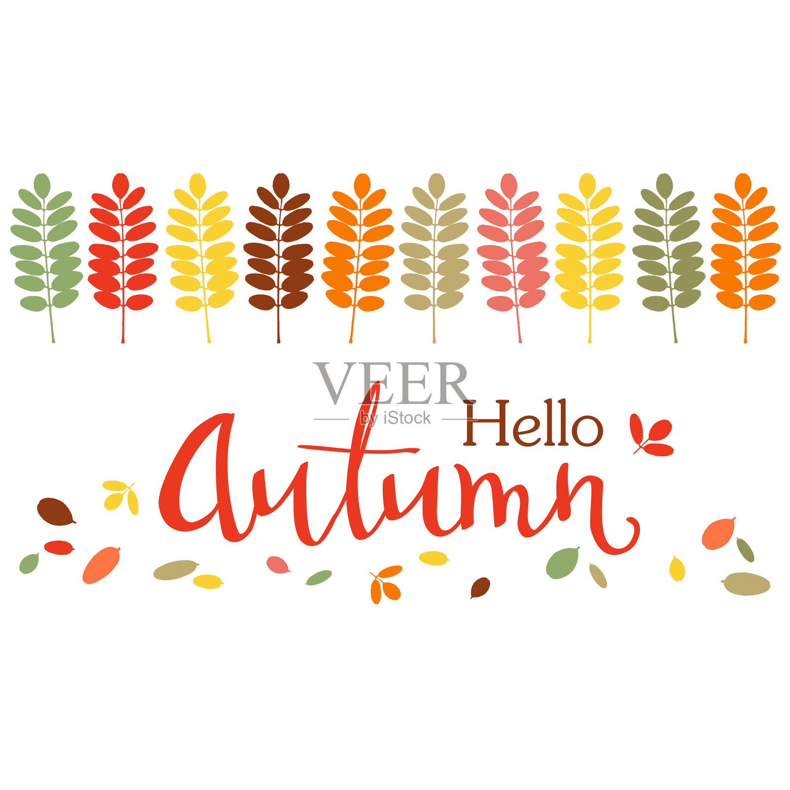 秋天的背景与彩色的相思叶边界和手写的字母。矢量插图。插画图片素材