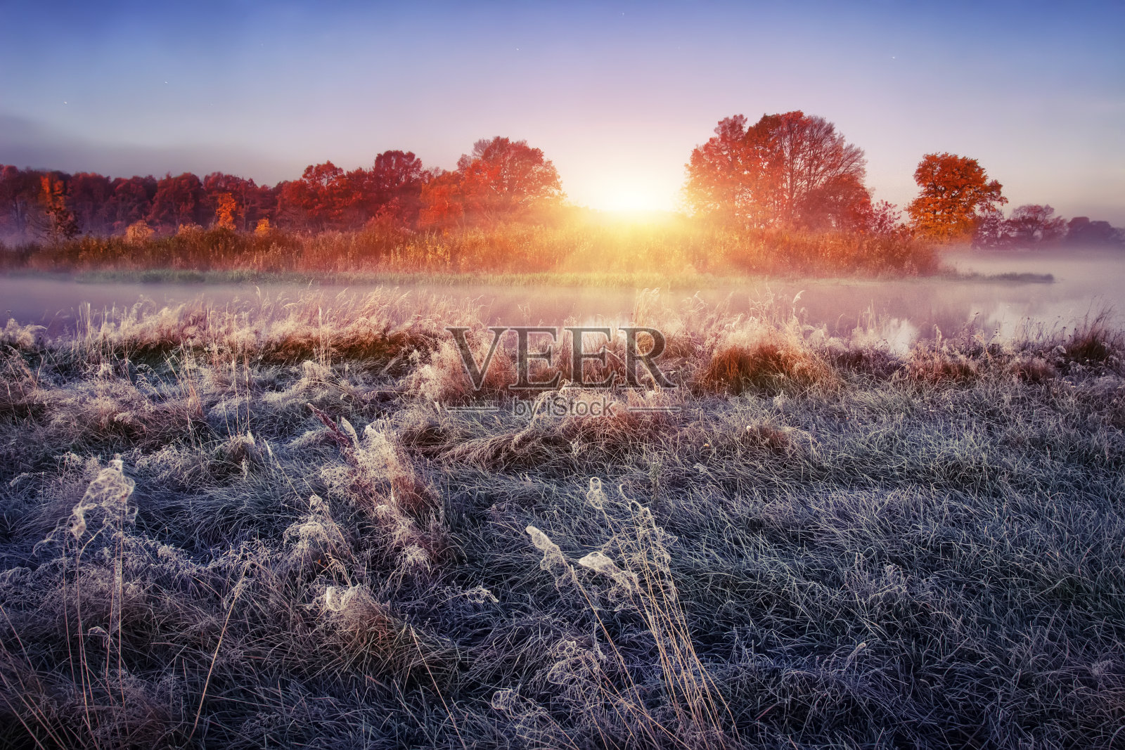 日出时，霜冻草地上的晨秋景观。草地上结霜。照片摄影图片
