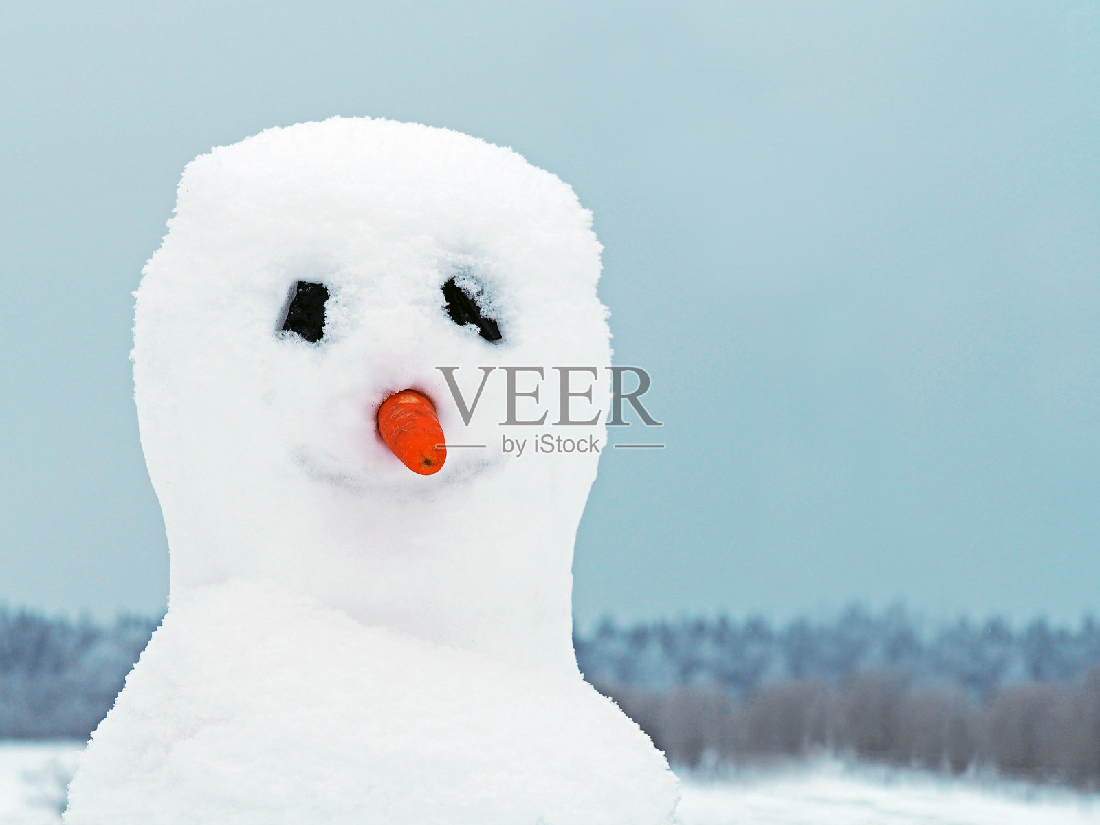 冬季森林背景上的雪人肖像照片摄影图片