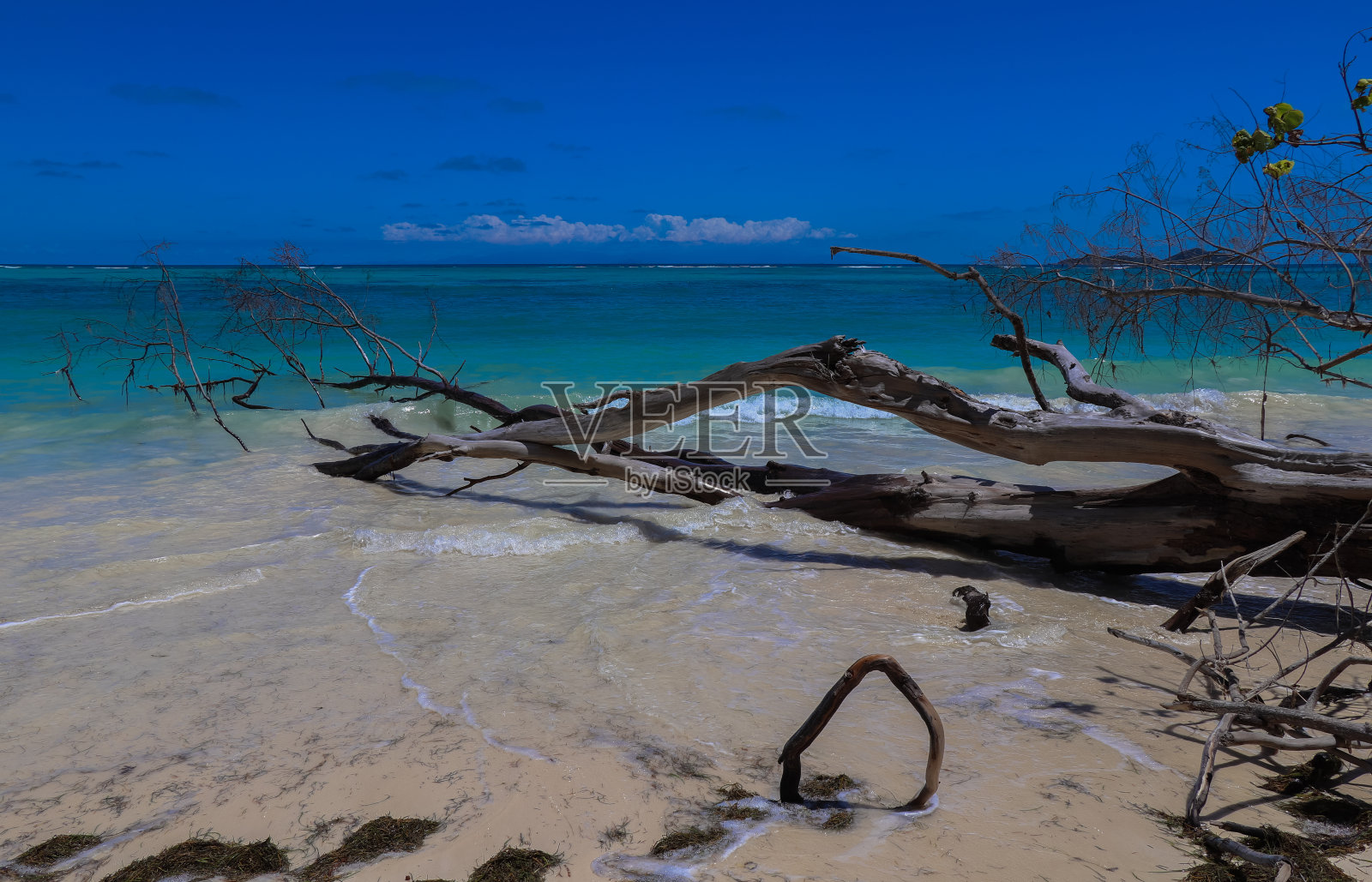 Praslin岛的Fond de Lanse海滩。塞舌尔照片摄影图片