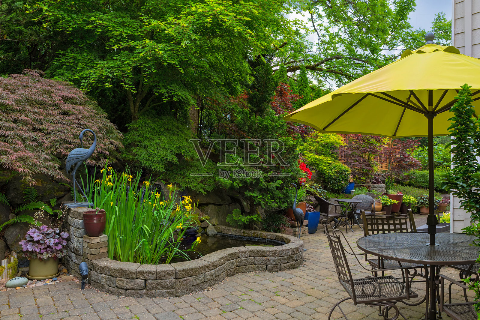 家后院硬景观和郁郁葱葱的植物景观与花园家具铺砖庭院照片摄影图片