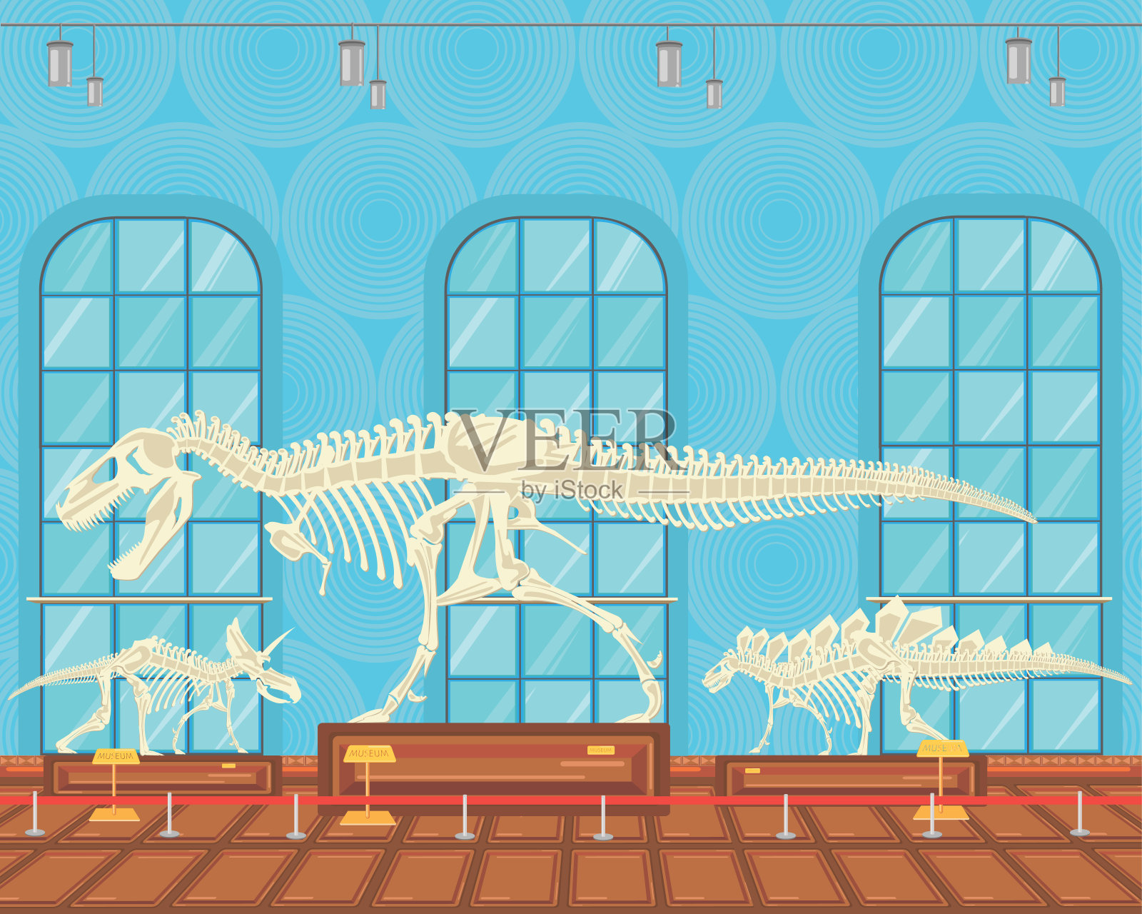 博物馆里展出的雷克斯霸王龙骨骼。插画图片素材