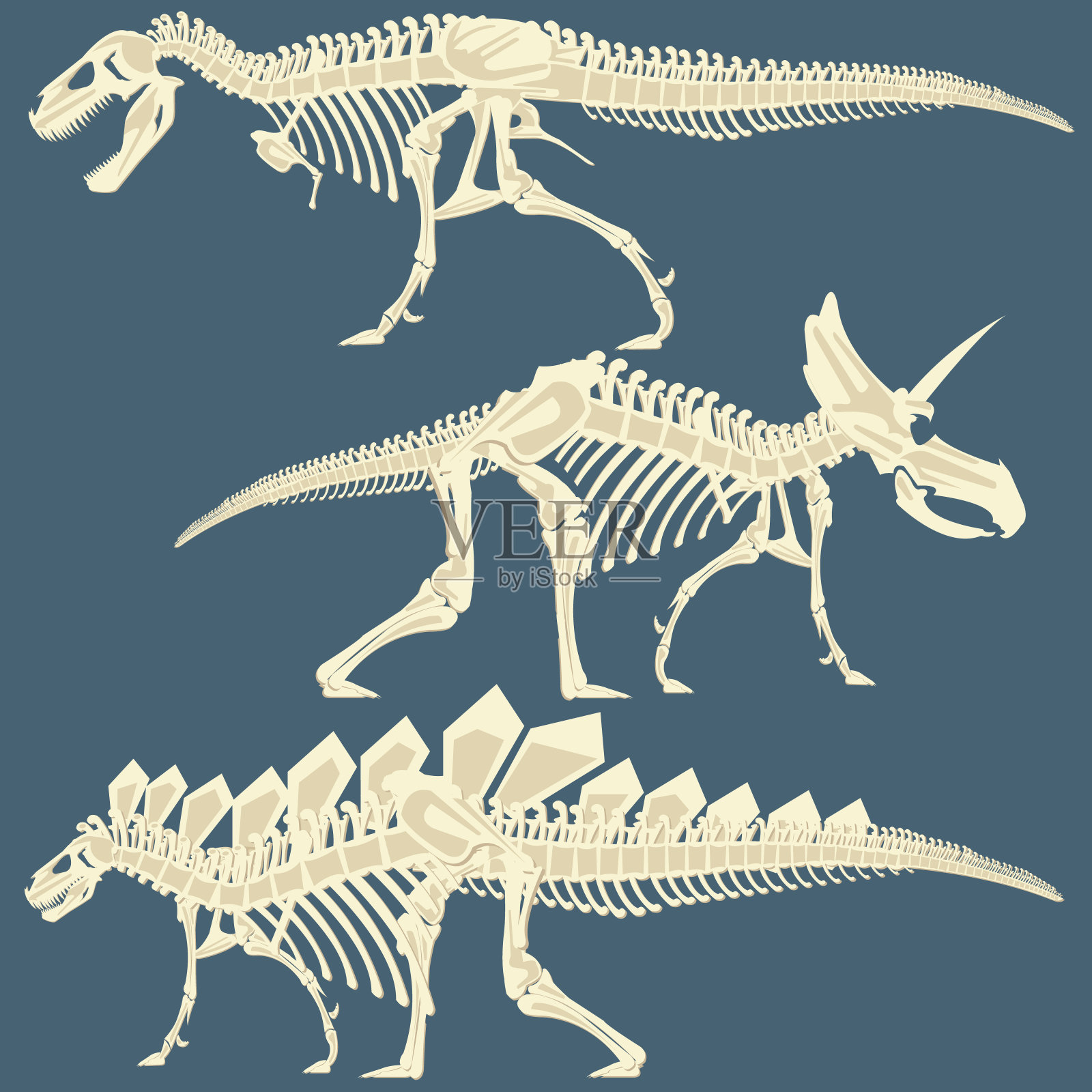 恐龙骨架的图像插画图片素材