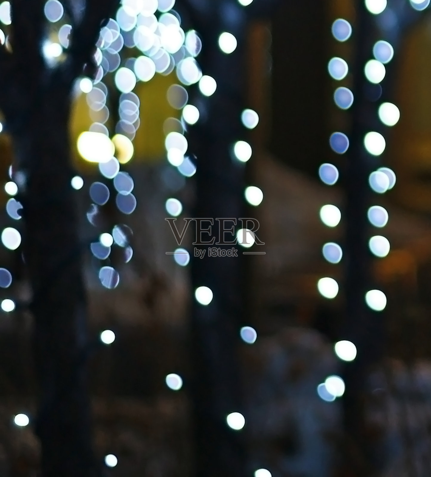晚上市中心圣诞树上的圣诞彩灯照片摄影图片