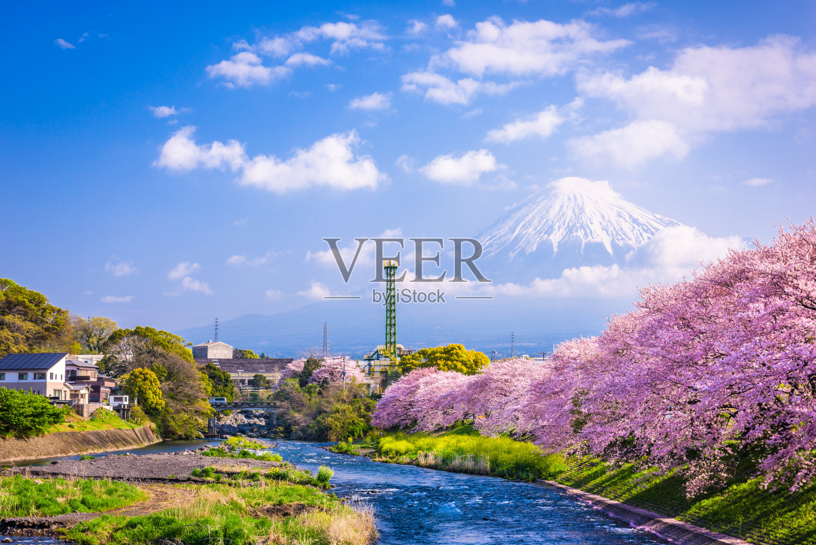 春天的富士山照片摄影图片