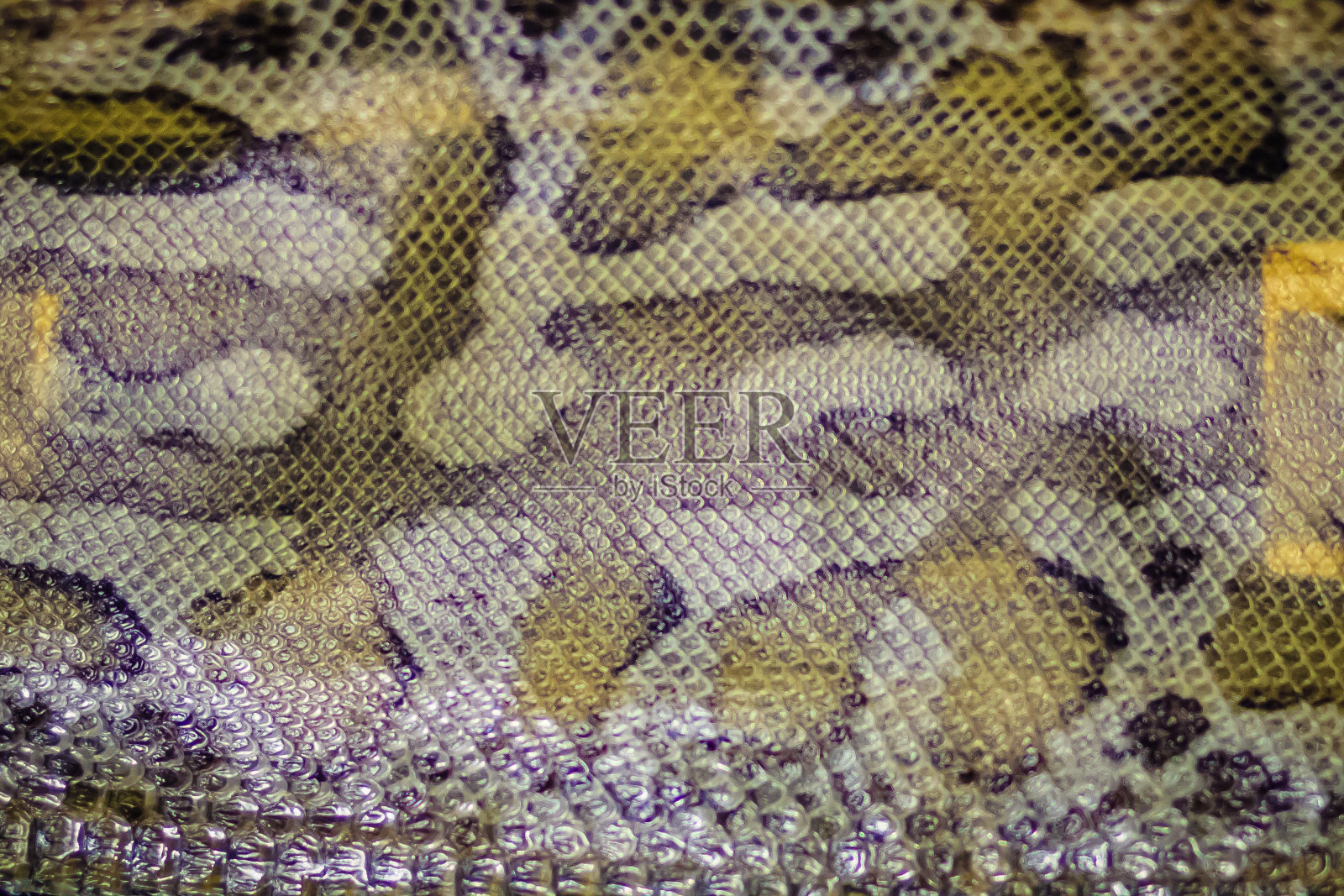 干蛇皮的血蟒蛇(蟒蛇curtus)为背景。蟒蛇是蟒蛇科的一种，是一种在东南亚发现的无毒蛇。照片摄影图片