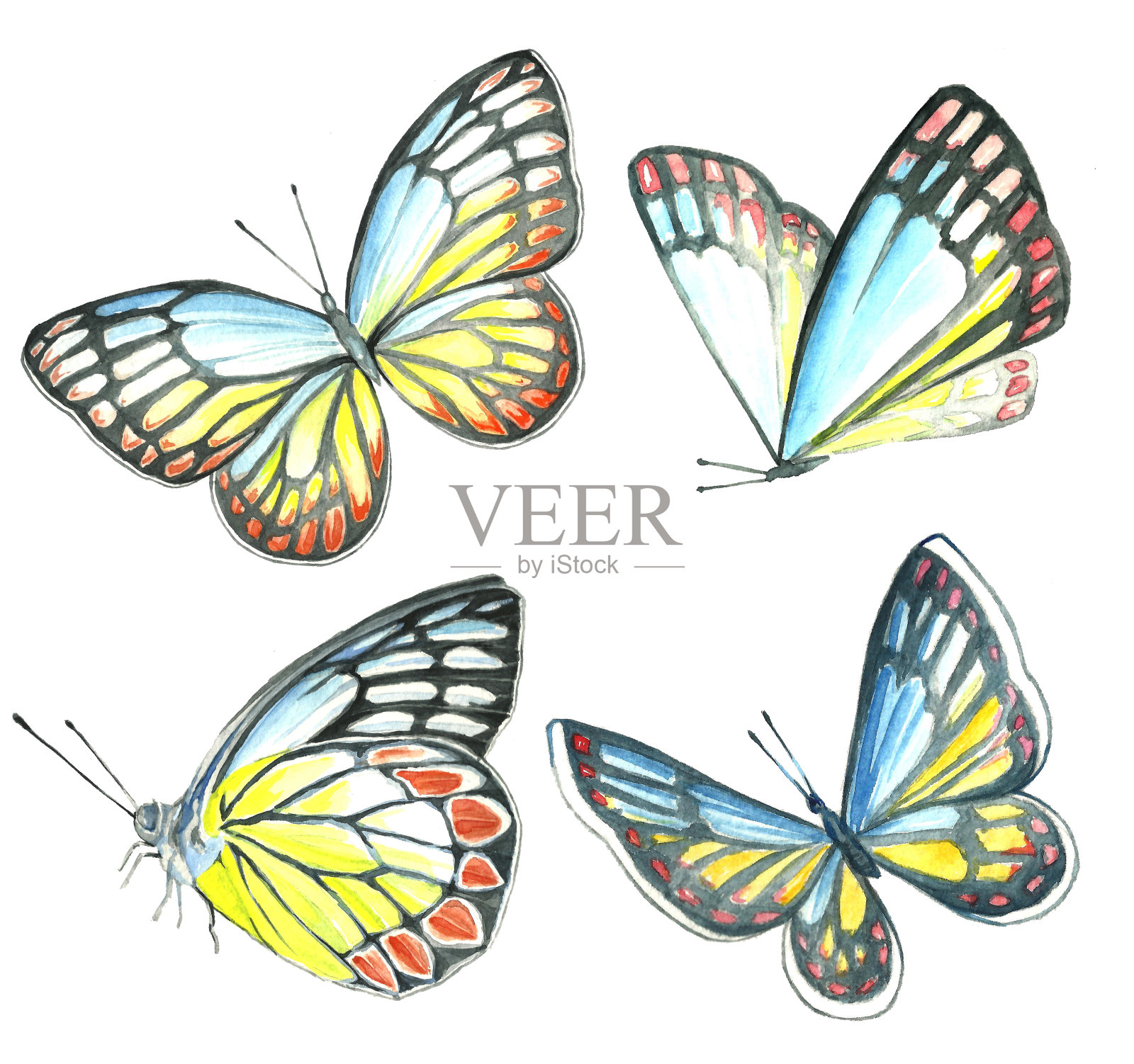收集蝴蝶水彩画设计元素图片
