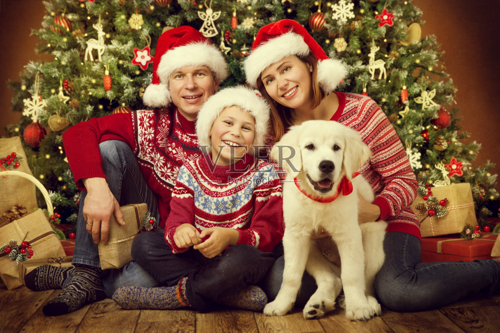 圣诞家庭与白狗小狗，快乐的父亲母亲和孩子假日肖像在圣诞帽和毛衣下的圣诞树照片摄影图片