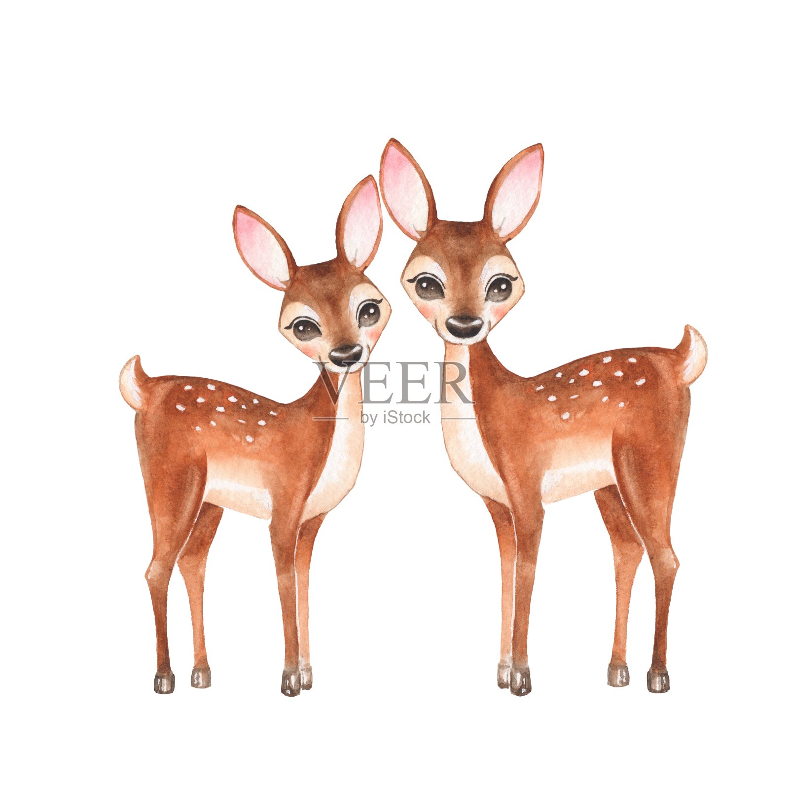 Сute小鹿，孤立在白色背景上插画图片素材
