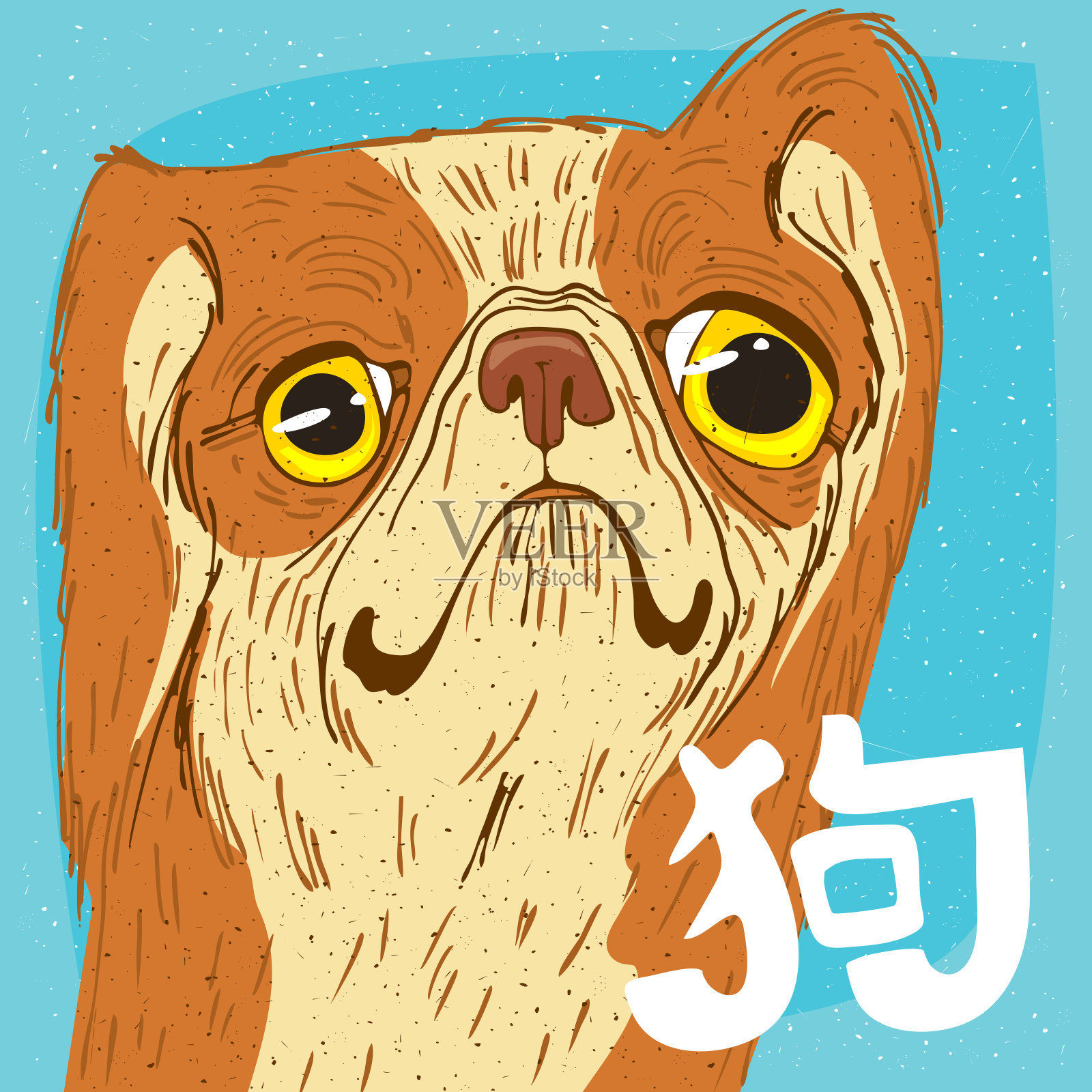 北京狮子狗的滑稽肖像插画图片素材
