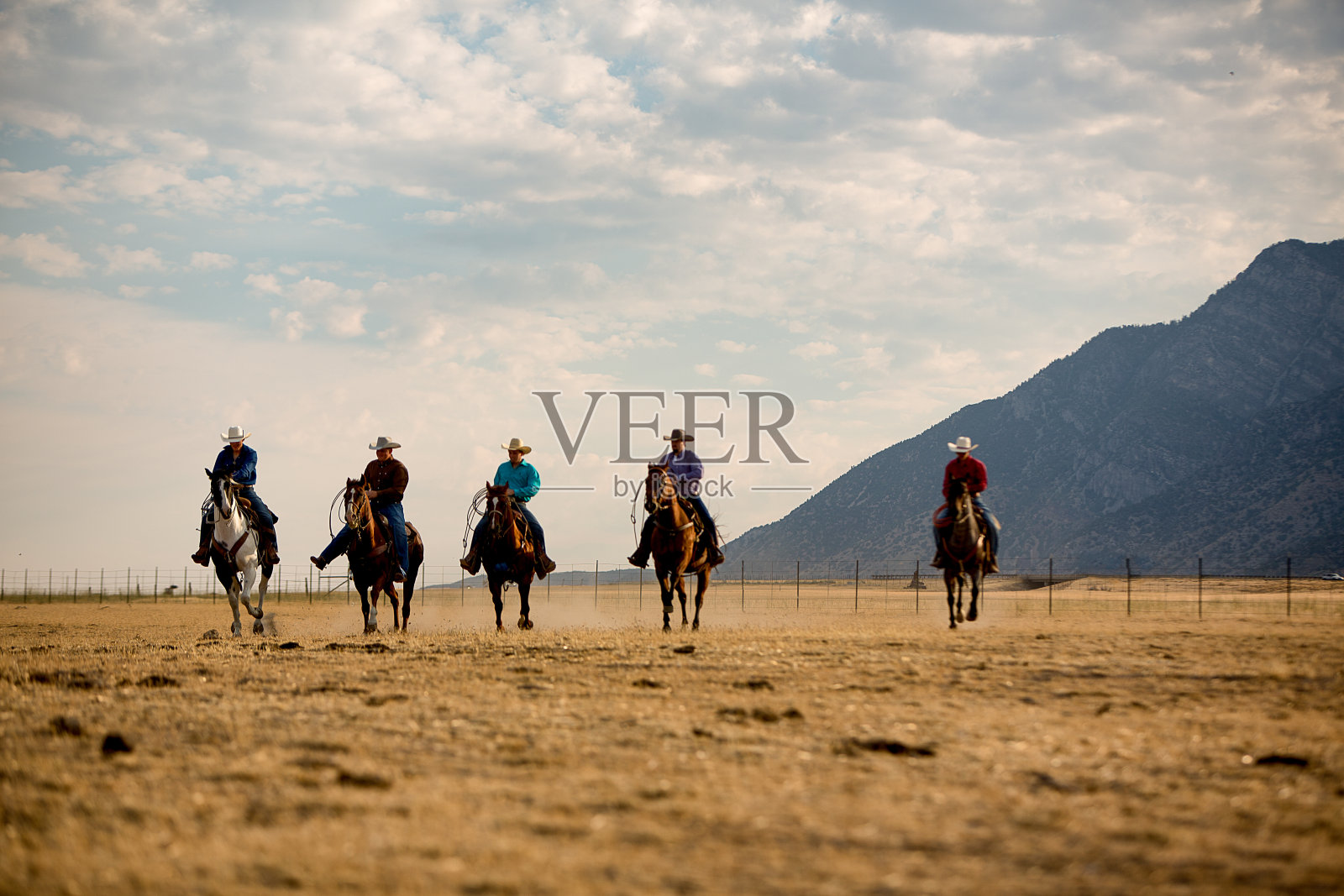 骑在牧场上的职业牛仔照片摄影图片