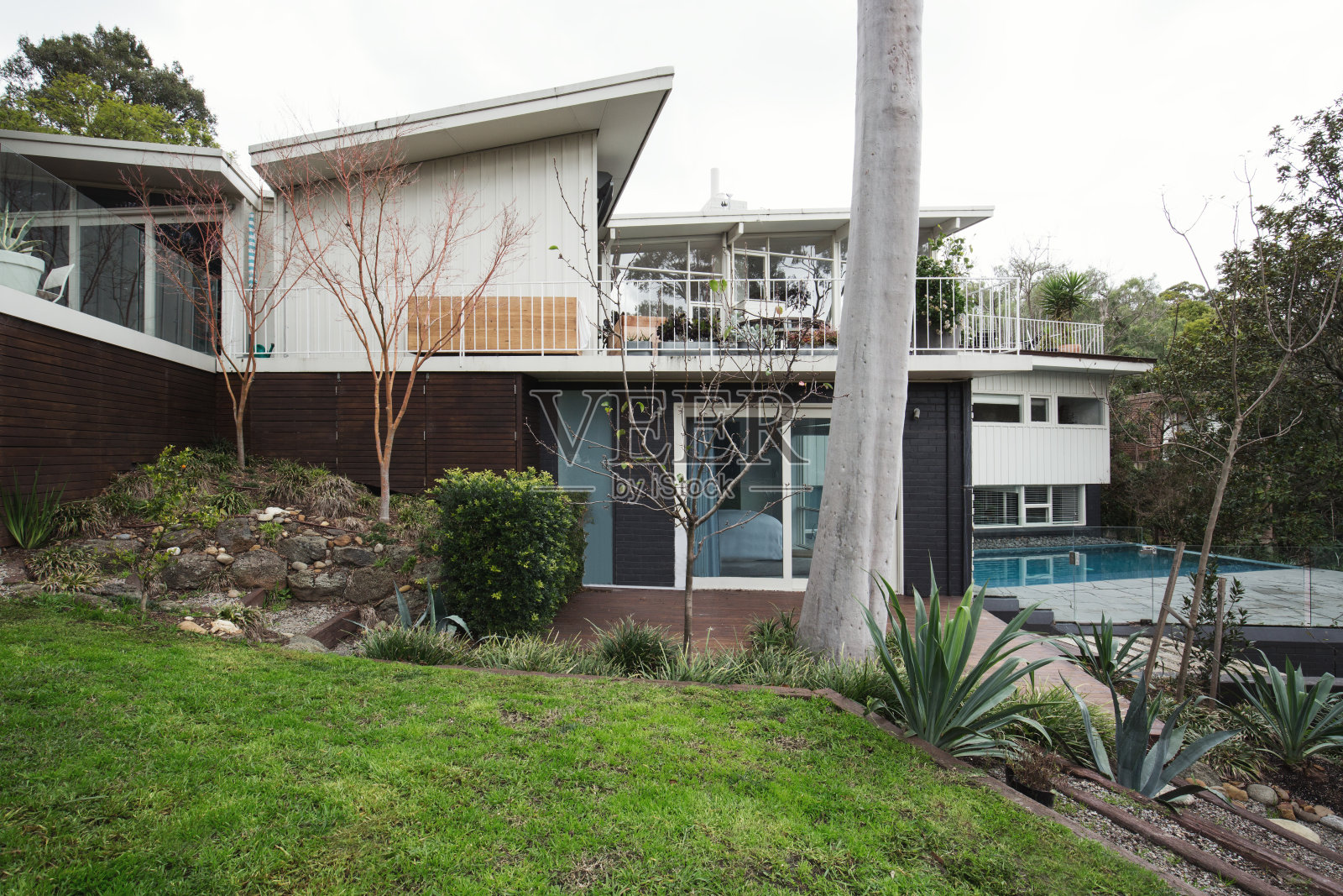 一个大型的世纪中期现代澳大利亚住宅的外观，带有游泳池和景观花园照片摄影图片