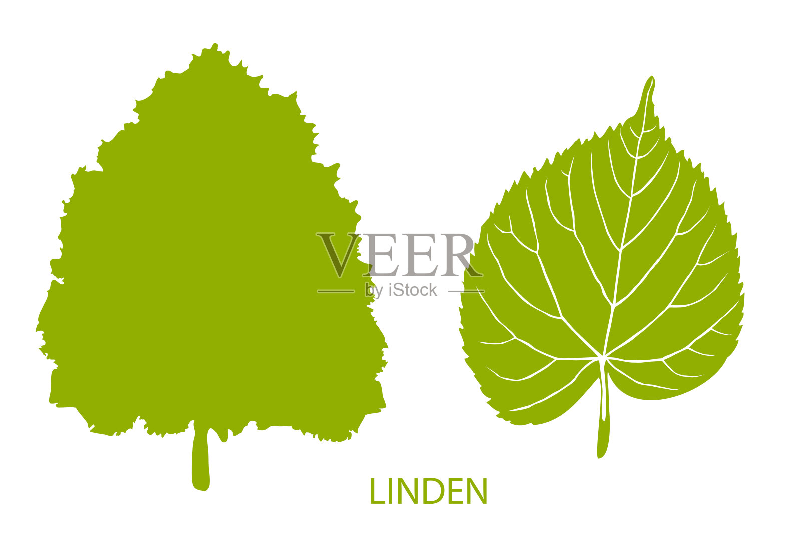 简单的树和树叶的图标插画图片素材